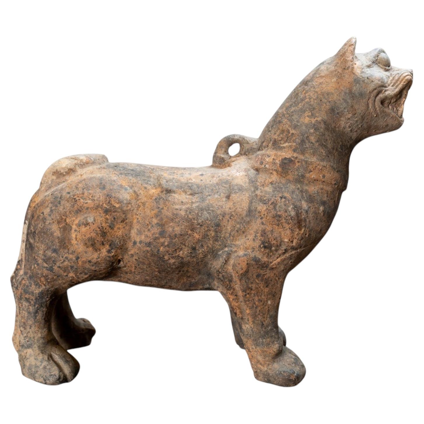 Una statuetta Han raffigurante un cane in piedi in vendita