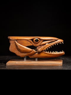 A handmade wooden sculpture, study of a Barracuda head with open mouth