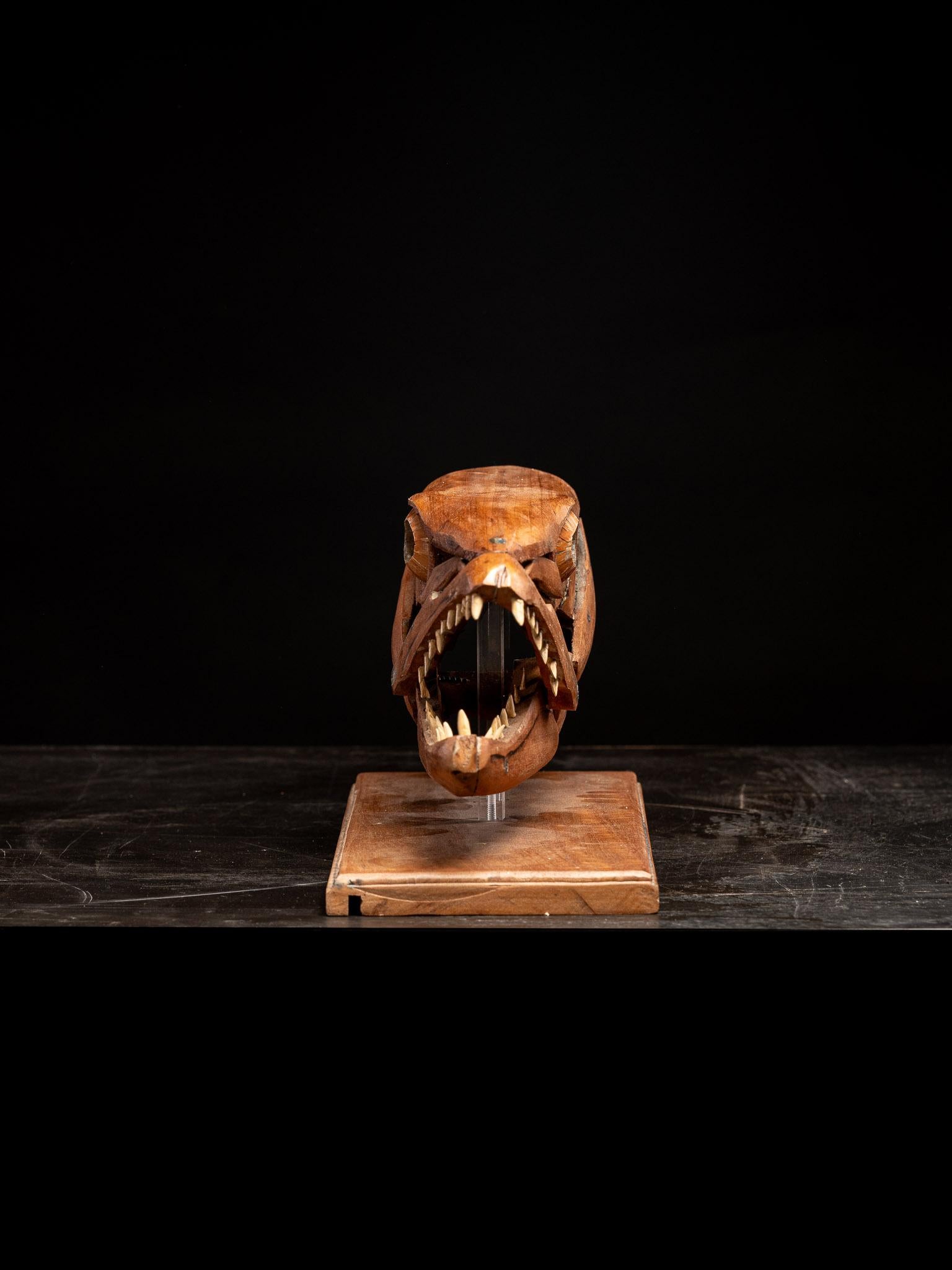 Una scultura in legno fatta a mano, studio di una testa di Barracuda con bocca aperta In condizioni buone in vendita a Leuven , BE