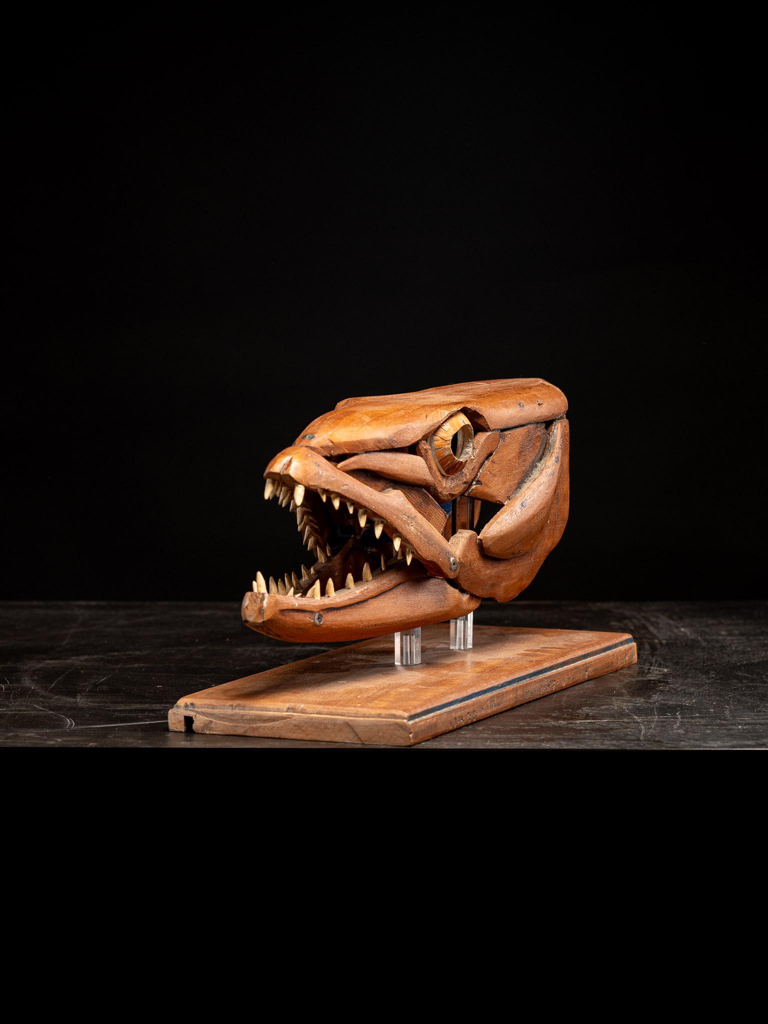 XX secolo Una scultura in legno fatta a mano, studio di una testa di Barracuda con bocca aperta in vendita
