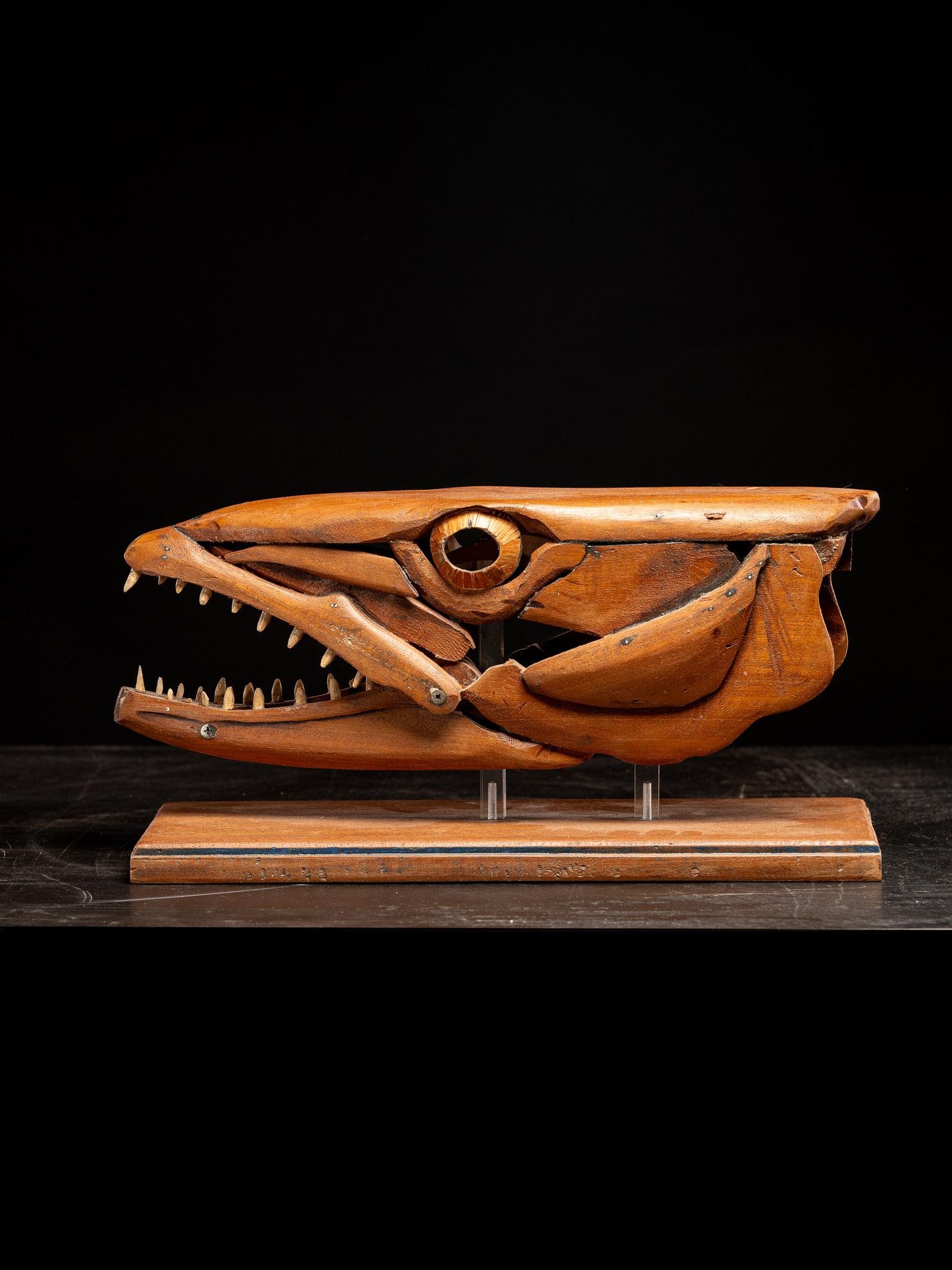 Legno di alberi da frutto Una scultura in legno fatta a mano, studio di una testa di Barracuda con bocca aperta in vendita