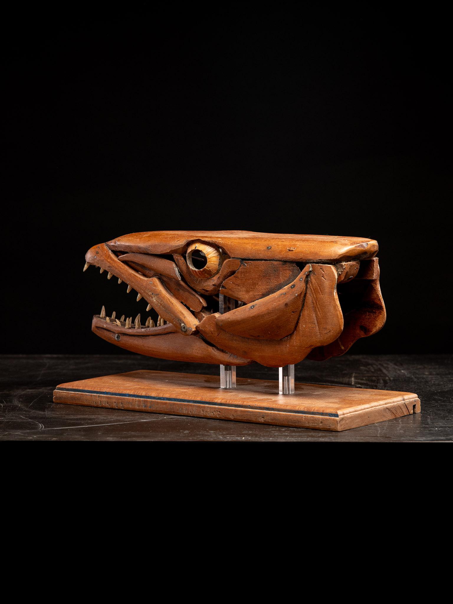 Una scultura in legno fatta a mano, studio di una testa di Barracuda con bocca aperta in vendita 1