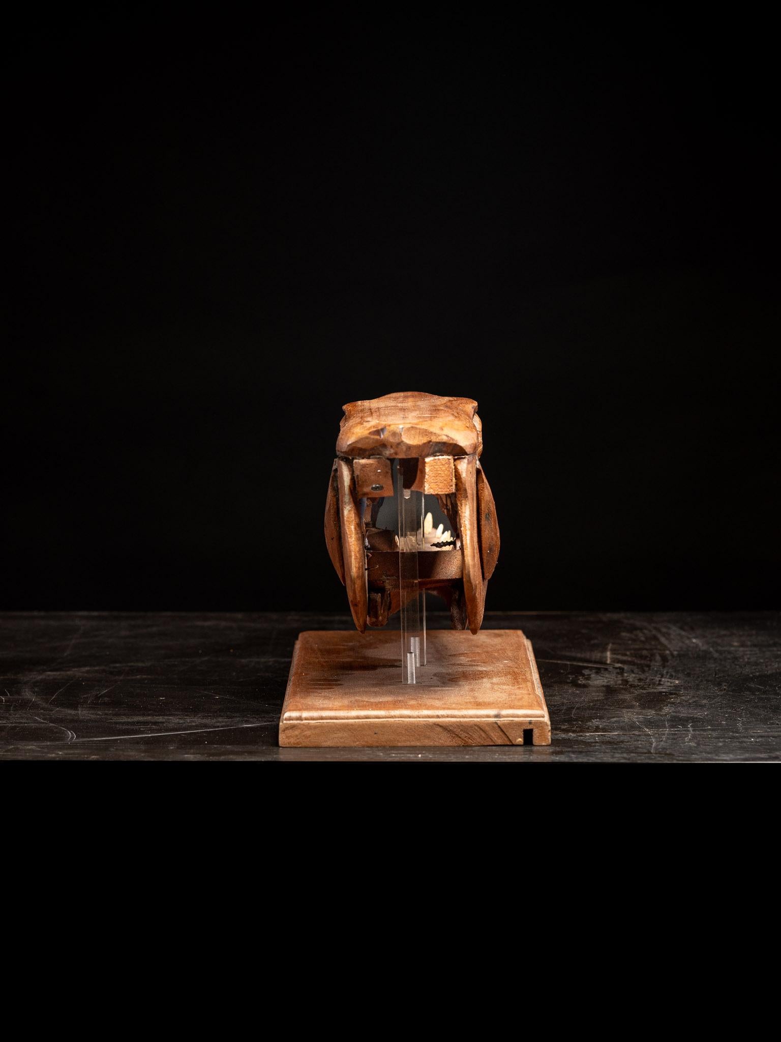 Una scultura in legno fatta a mano, studio di una testa di Barracuda con bocca aperta in vendita 2