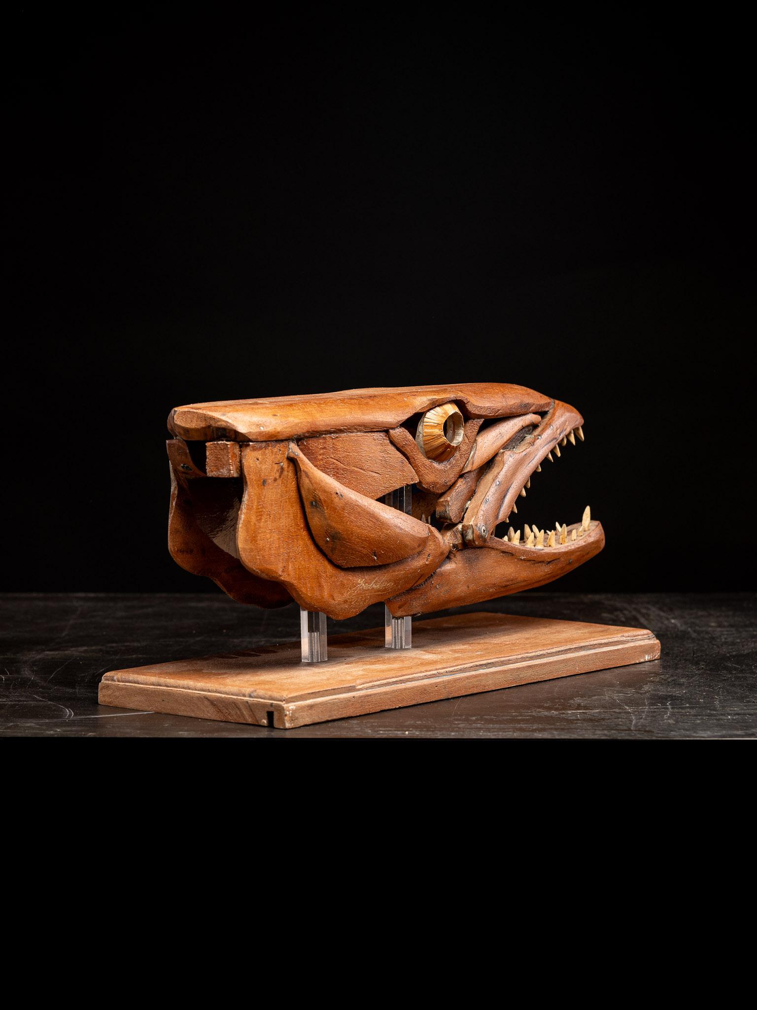 Una scultura in legno fatta a mano, studio di una testa di Barracuda con bocca aperta in vendita 3