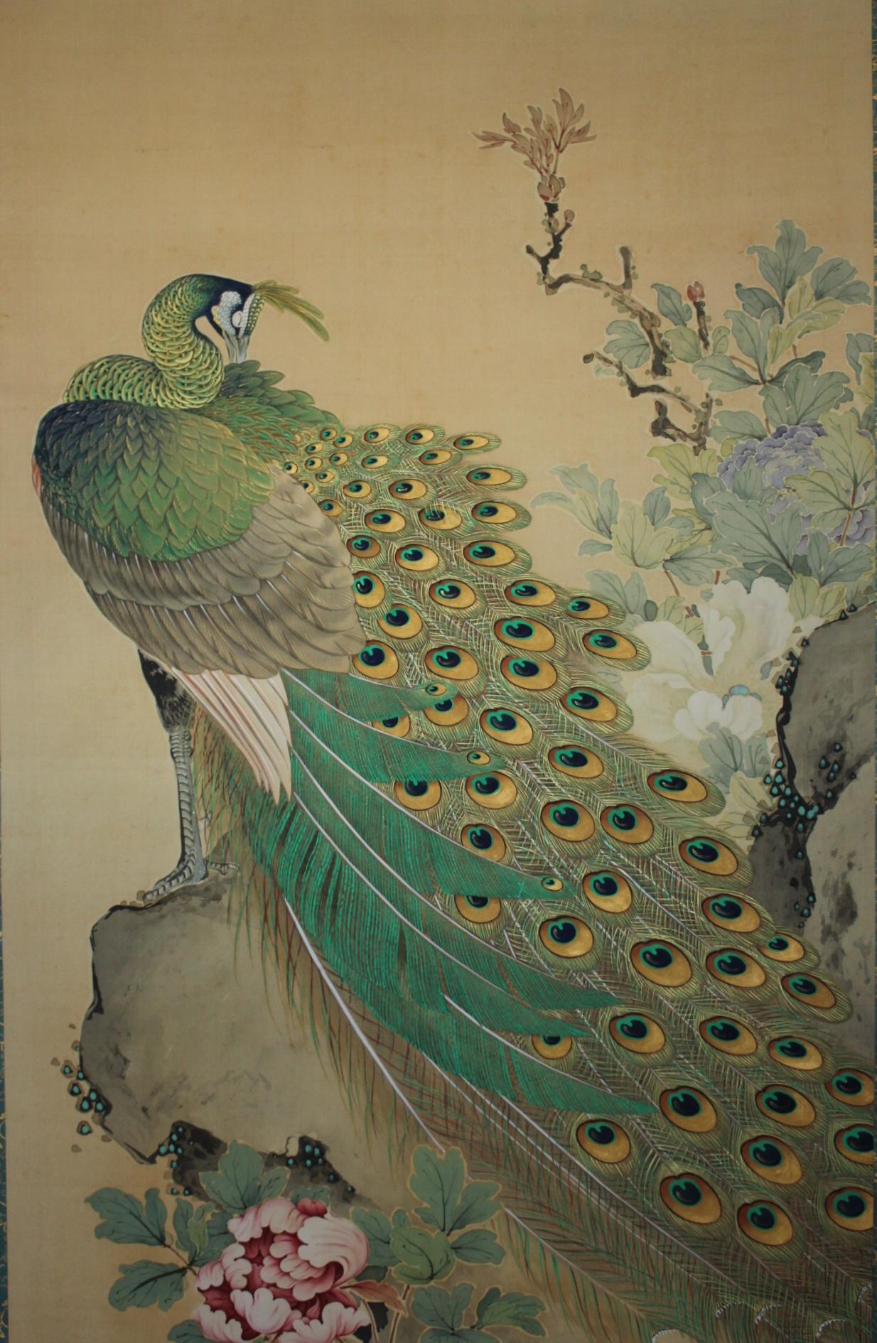 Hand-Painted Japanese Antiques A hanging scroll of peacock painted by Kado for Tokonoma For Sale