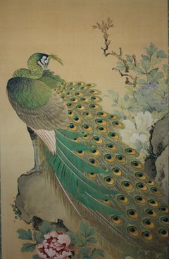 Japanese Antiques A hanging scroll of peacock painted by Kado for Tokonoma