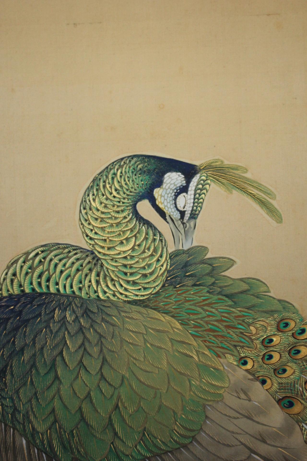 19th Century Japanese Antiques A hanging scroll of peacock painted by Kado for Tokonoma For Sale