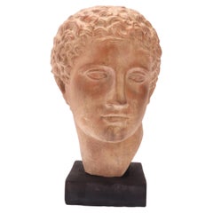 Head of Young Roman, Italy, 1880