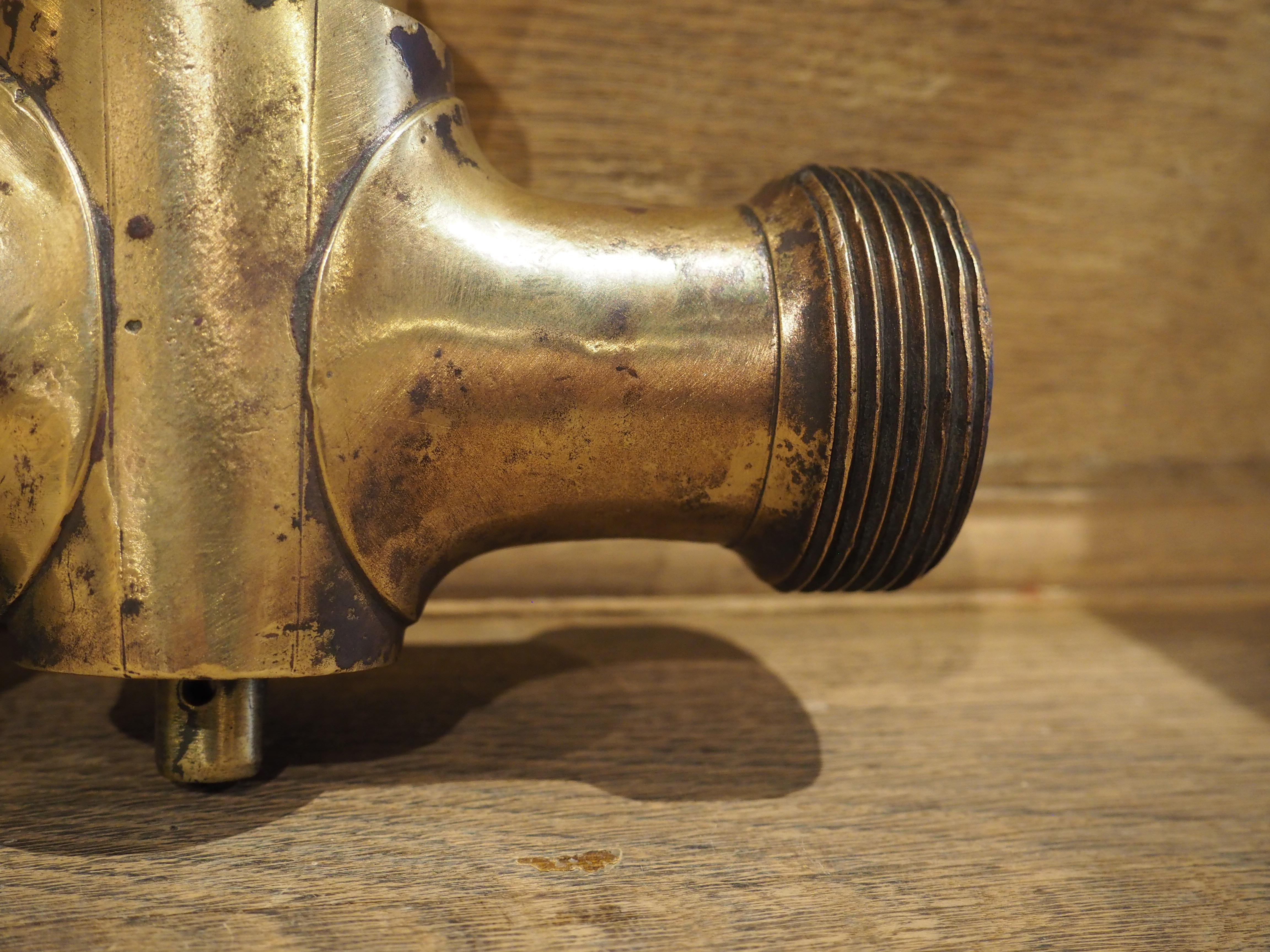19th Century A Heavy Circa 1850 French Gilt Bronze Dolphin Form Fountain Spout For Sale