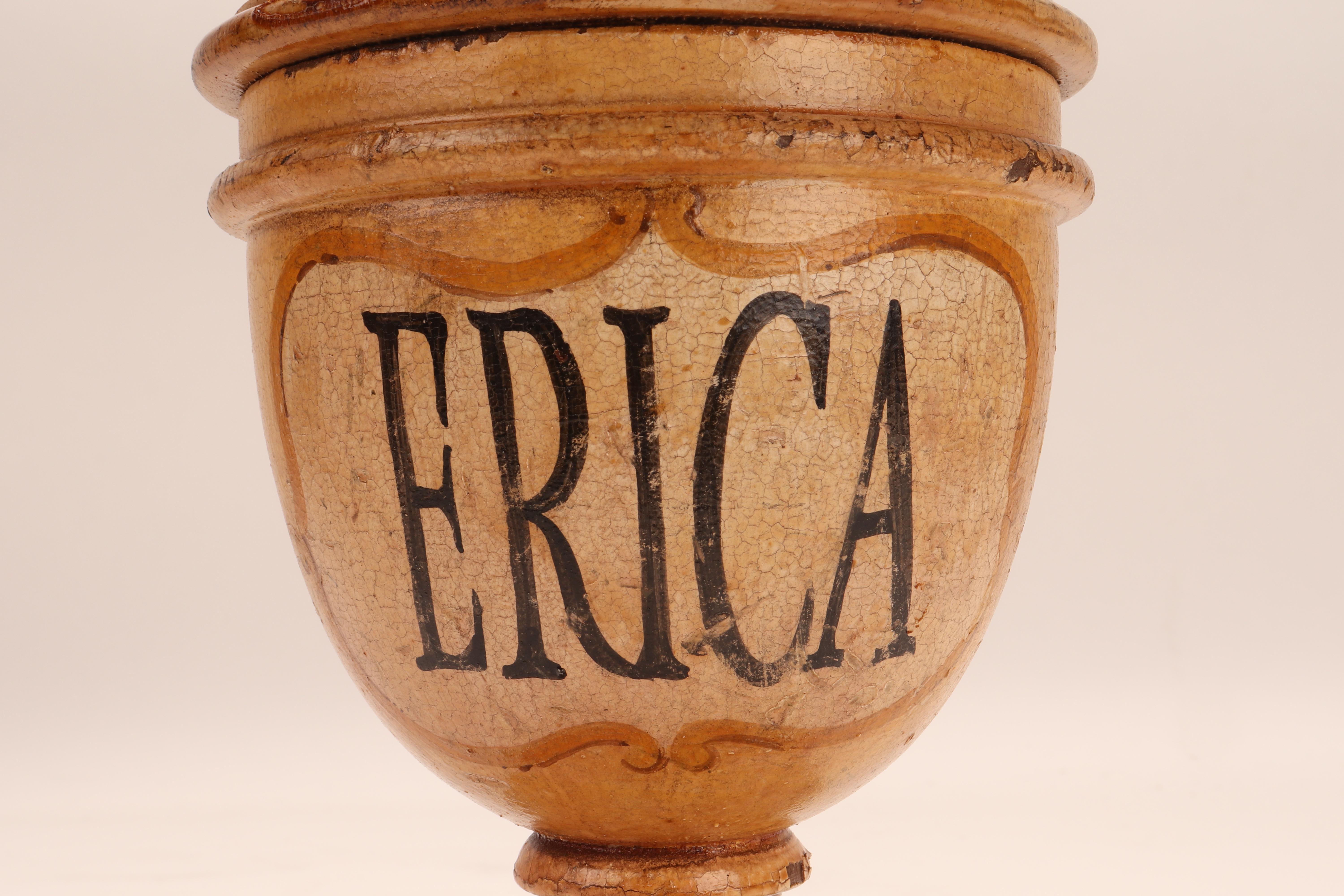 Herbalist Pharmacy Wooden Jars, Italy 1870 For Sale 5
