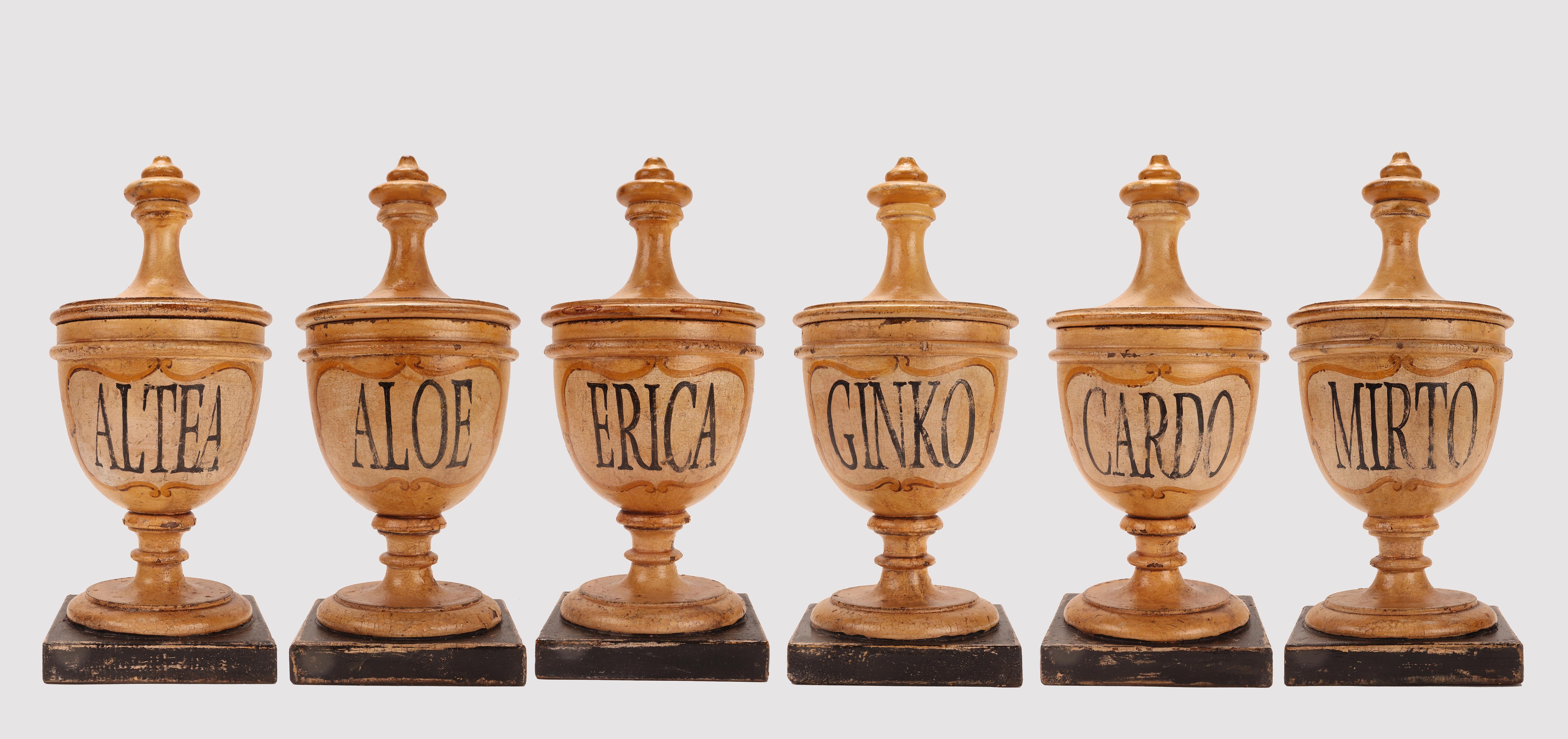 Set of six small herbalist apothecary wooden jars (Altea flowers, Aloe leaves, Erica flowers), in the purest Neoclassical style. The surface is finished with pastiglia white-cream with saffron color cartouche and gold decoration finishing parts, the