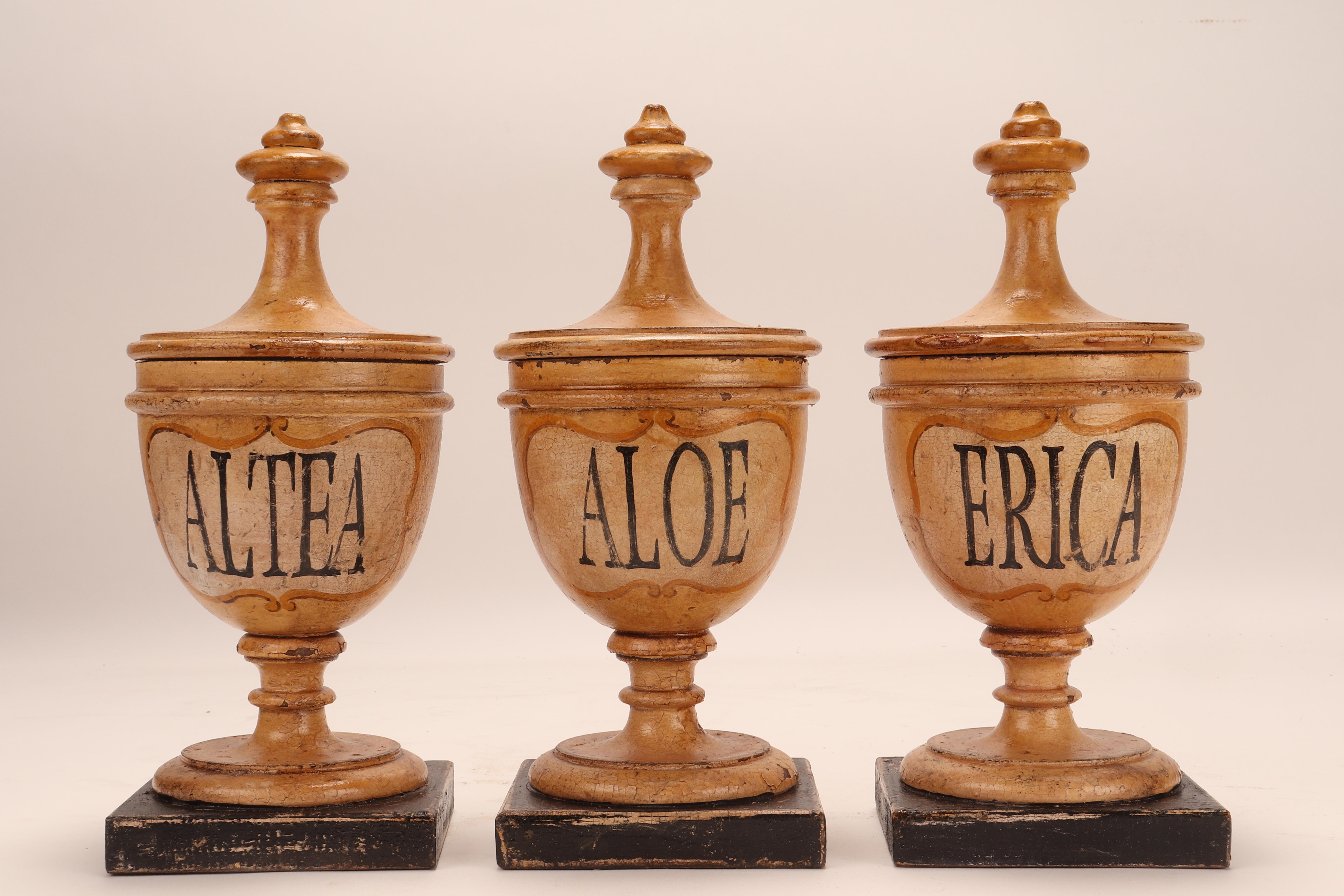 Italian Herbalist Pharmacy Wooden Jars, Italy 1870 For Sale
