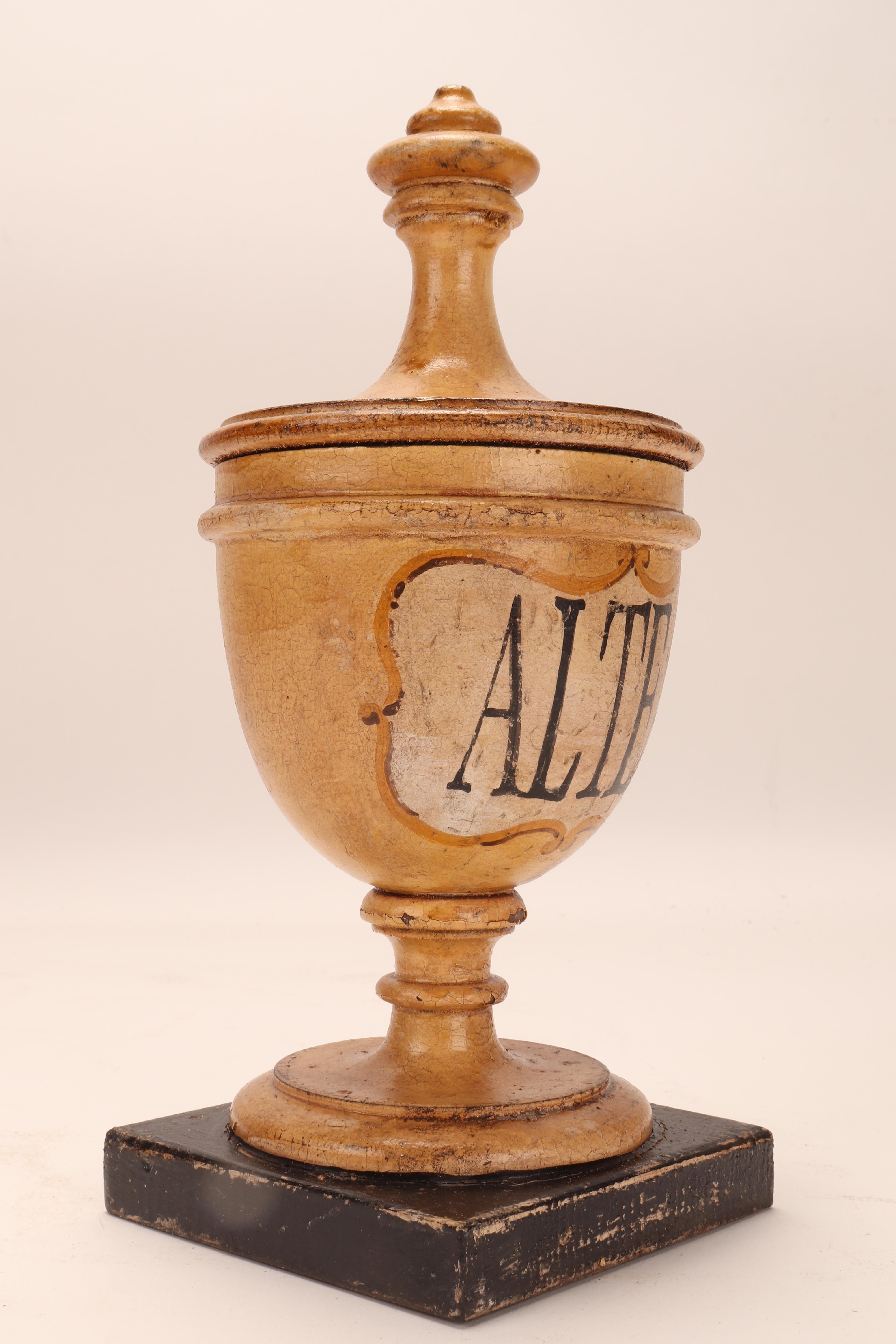 Fruitwood Herbalist Pharmacy Wooden Jars, Italy 1870 For Sale