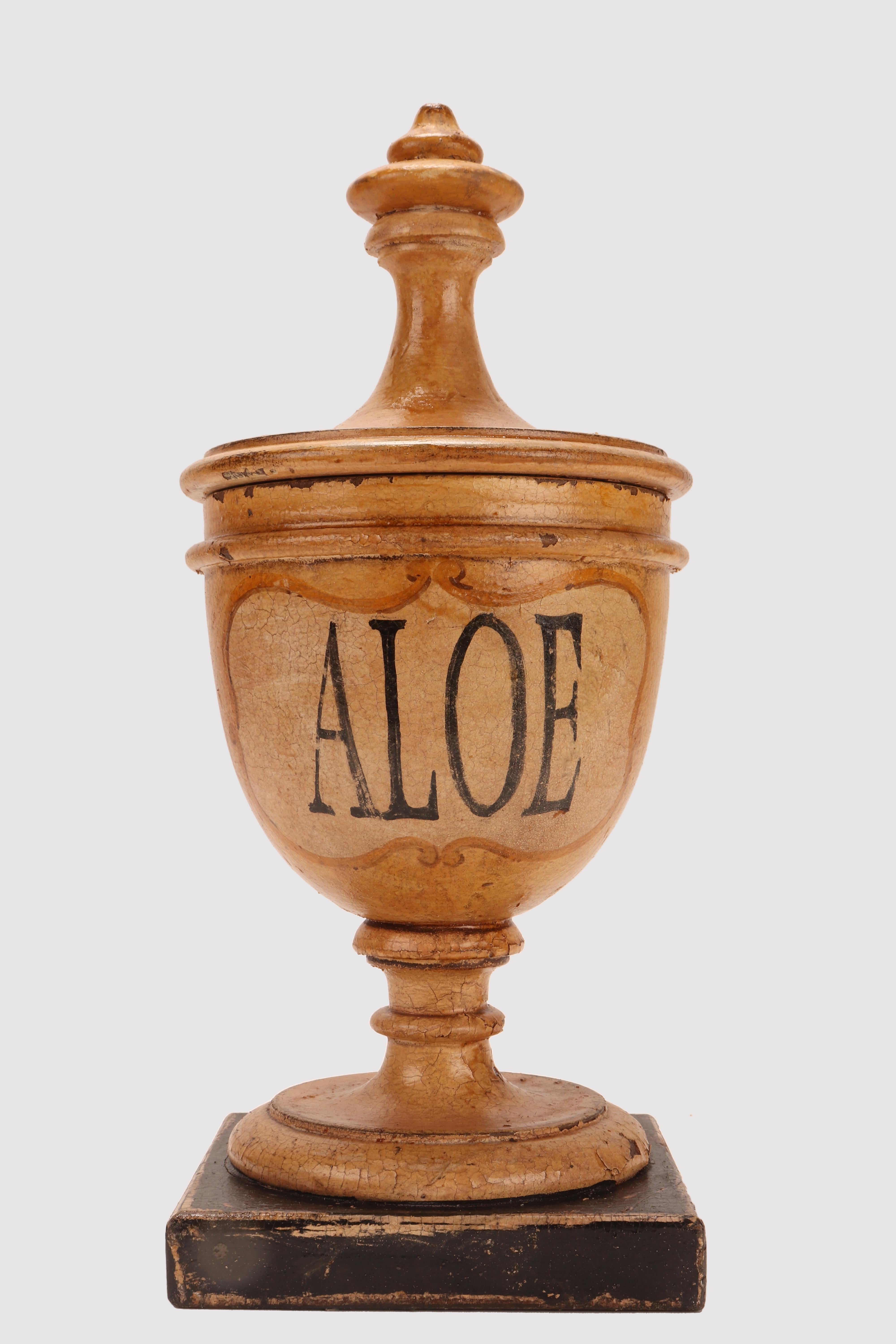 Herbalist Pharmacy Wooden Jars, Italy 1870 For Sale 1