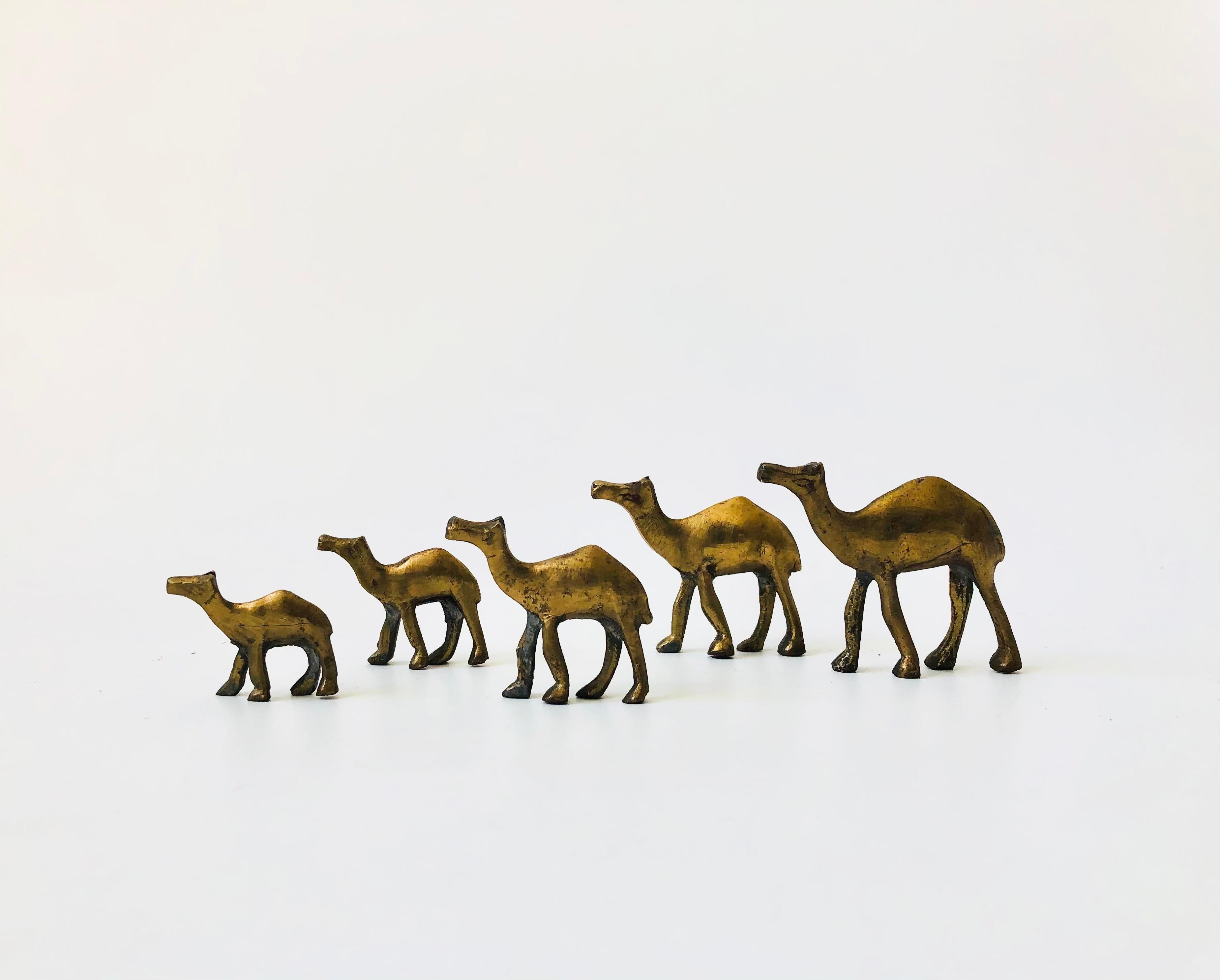 20th Century A Herd of Vintage Brass Camels - Set of 5