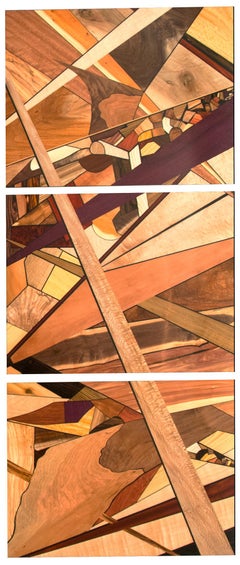 Highly Colorful Exotic Wood Abstract Mosaic Triptych Wall Art