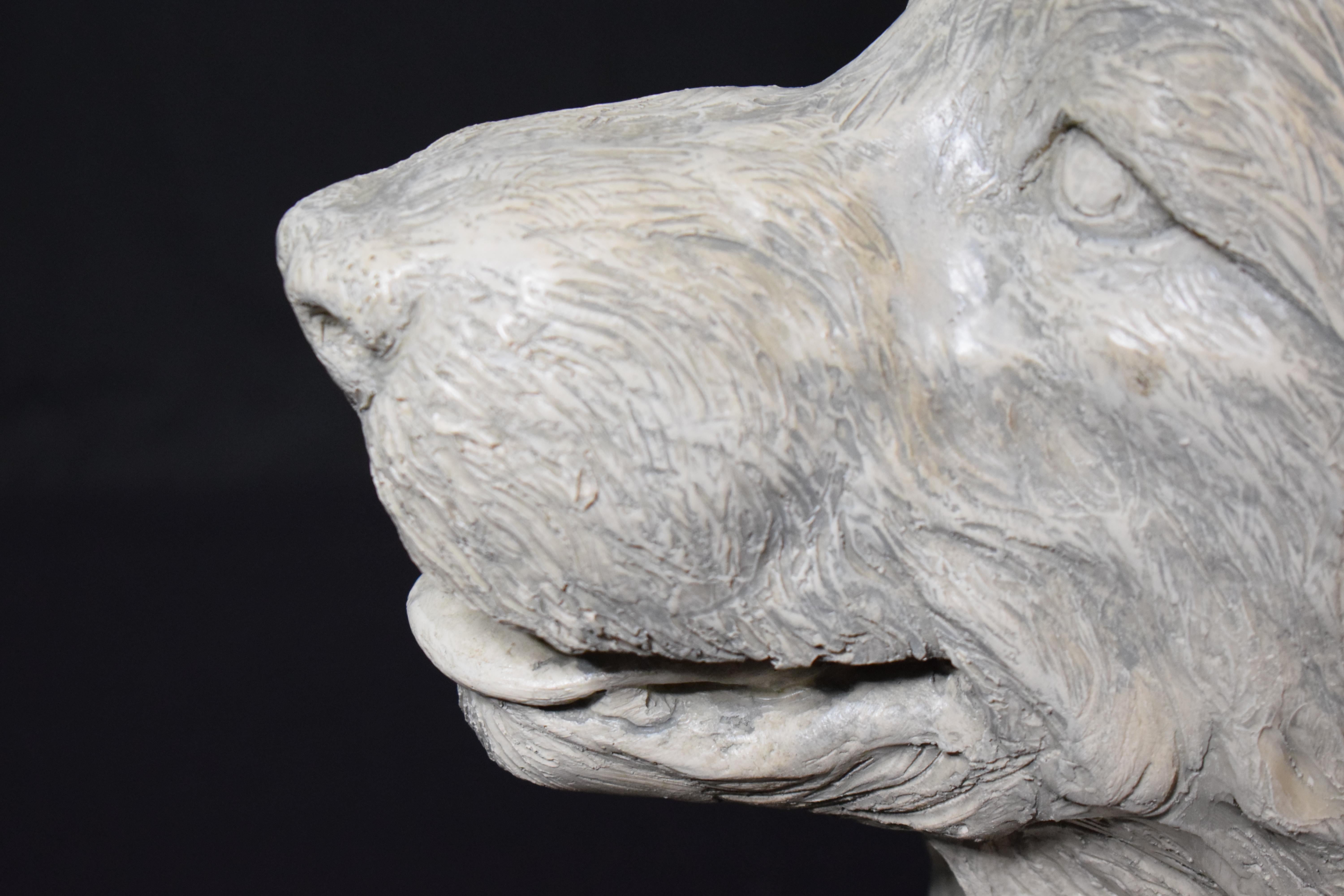 Escultura muy decorativa de tamaño natural de un perro tumbado en venta 1