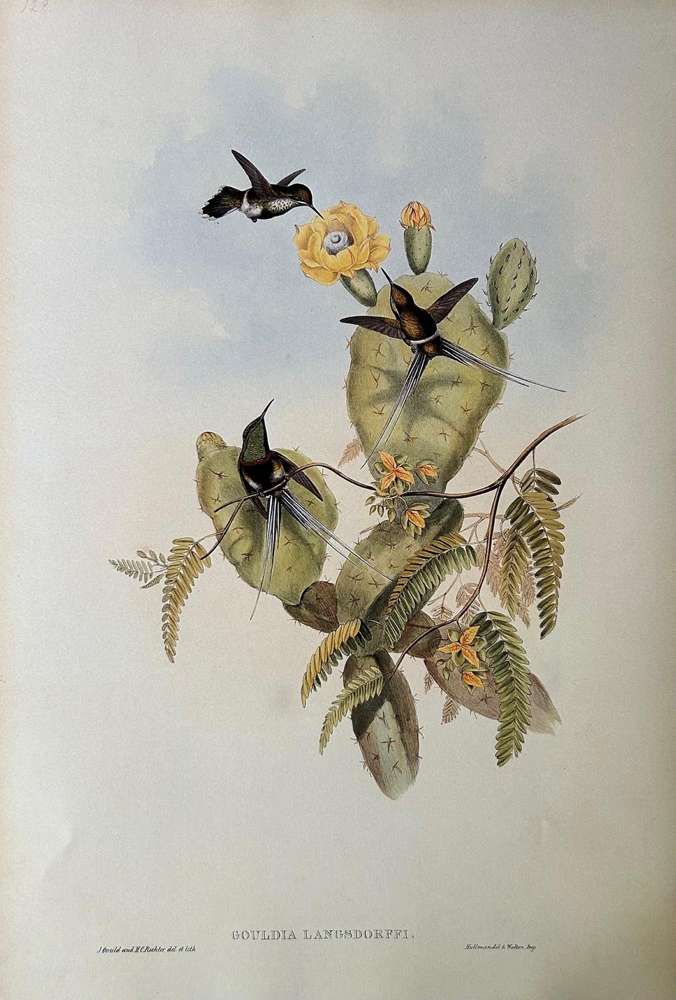 Conjunto muy decorativo de seis colibríes sin enmarcar de John Gould 2