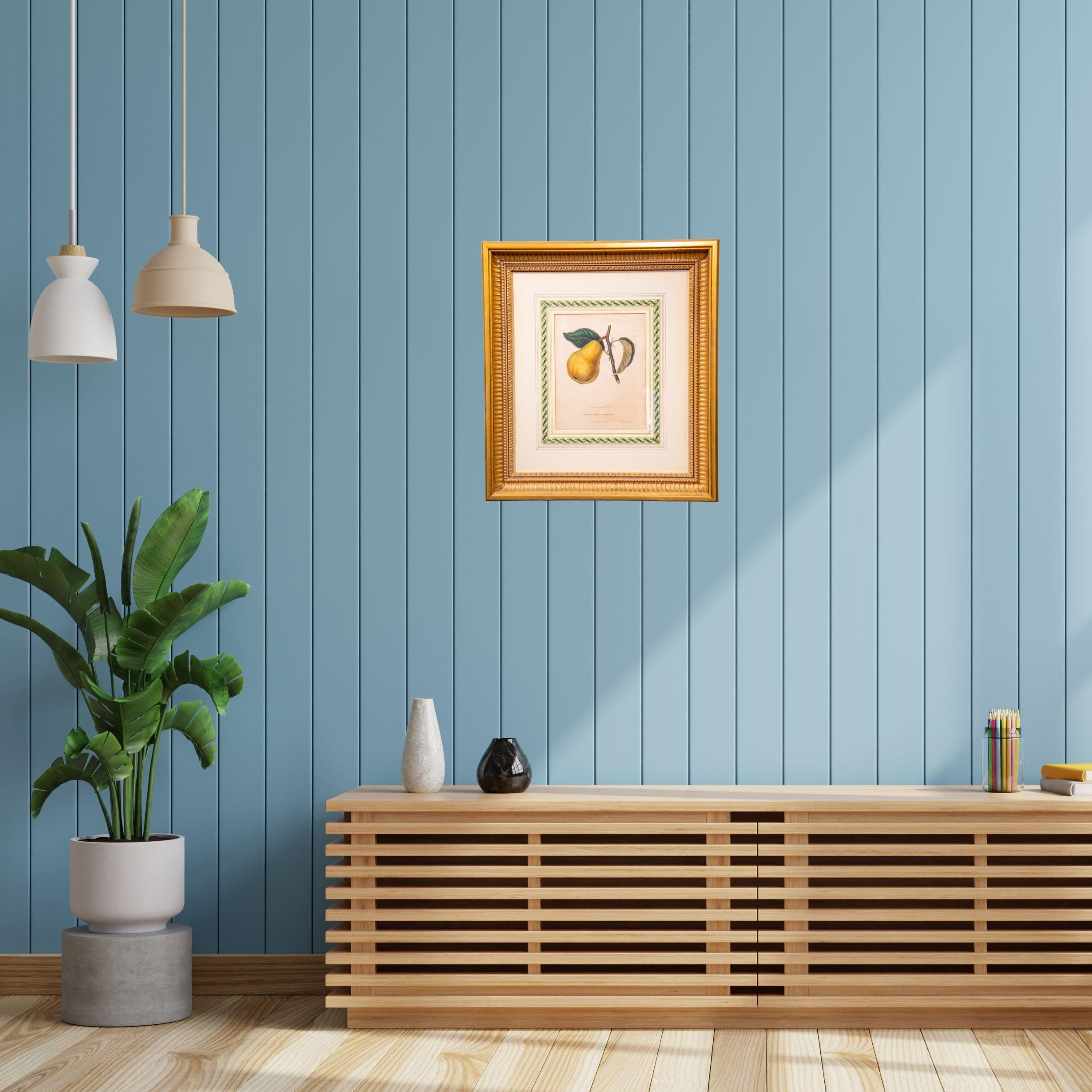 Bartlett Pear For Sale 11