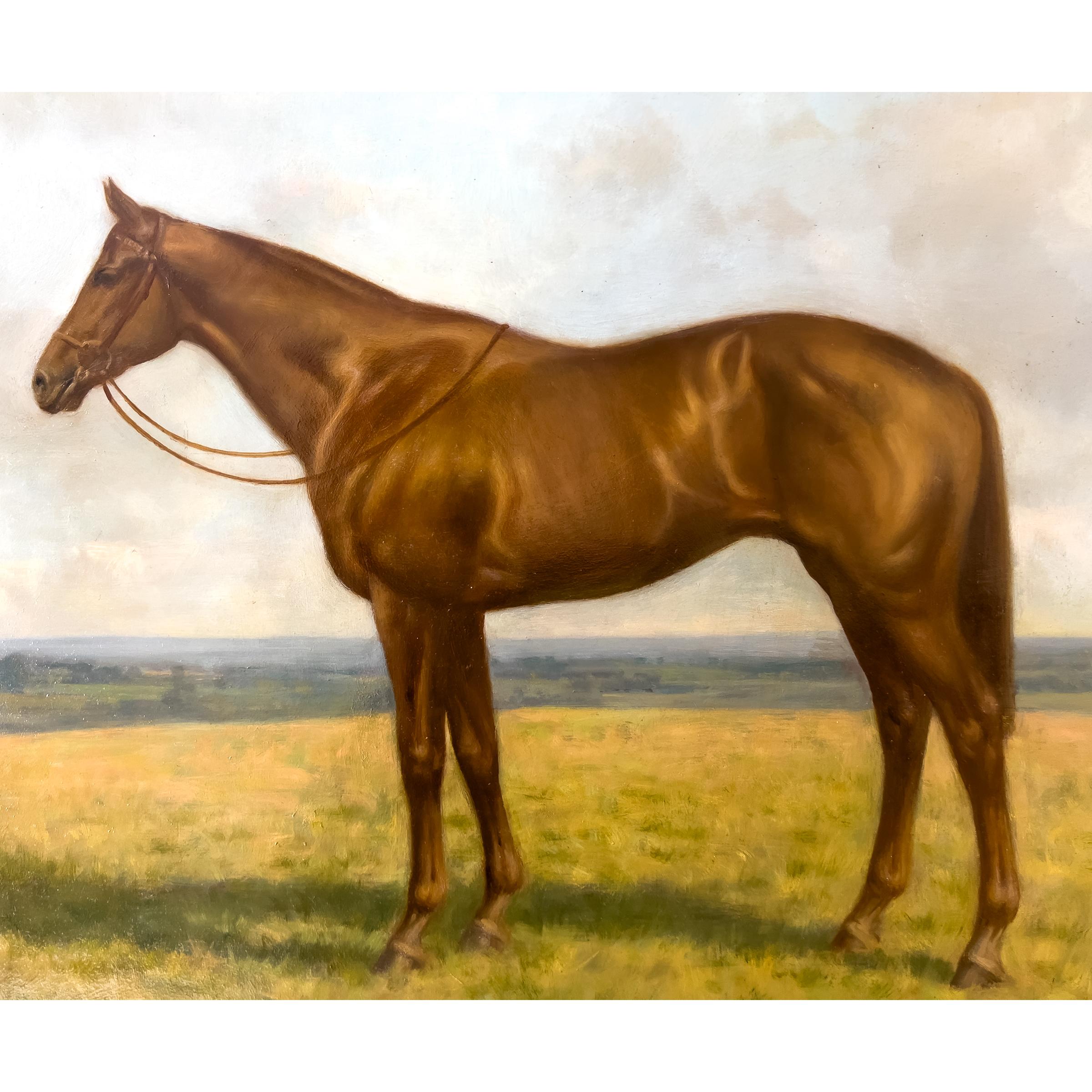 English A Horse In Natural Surroundings, Oil On Board, England, 20th Century   For Sale