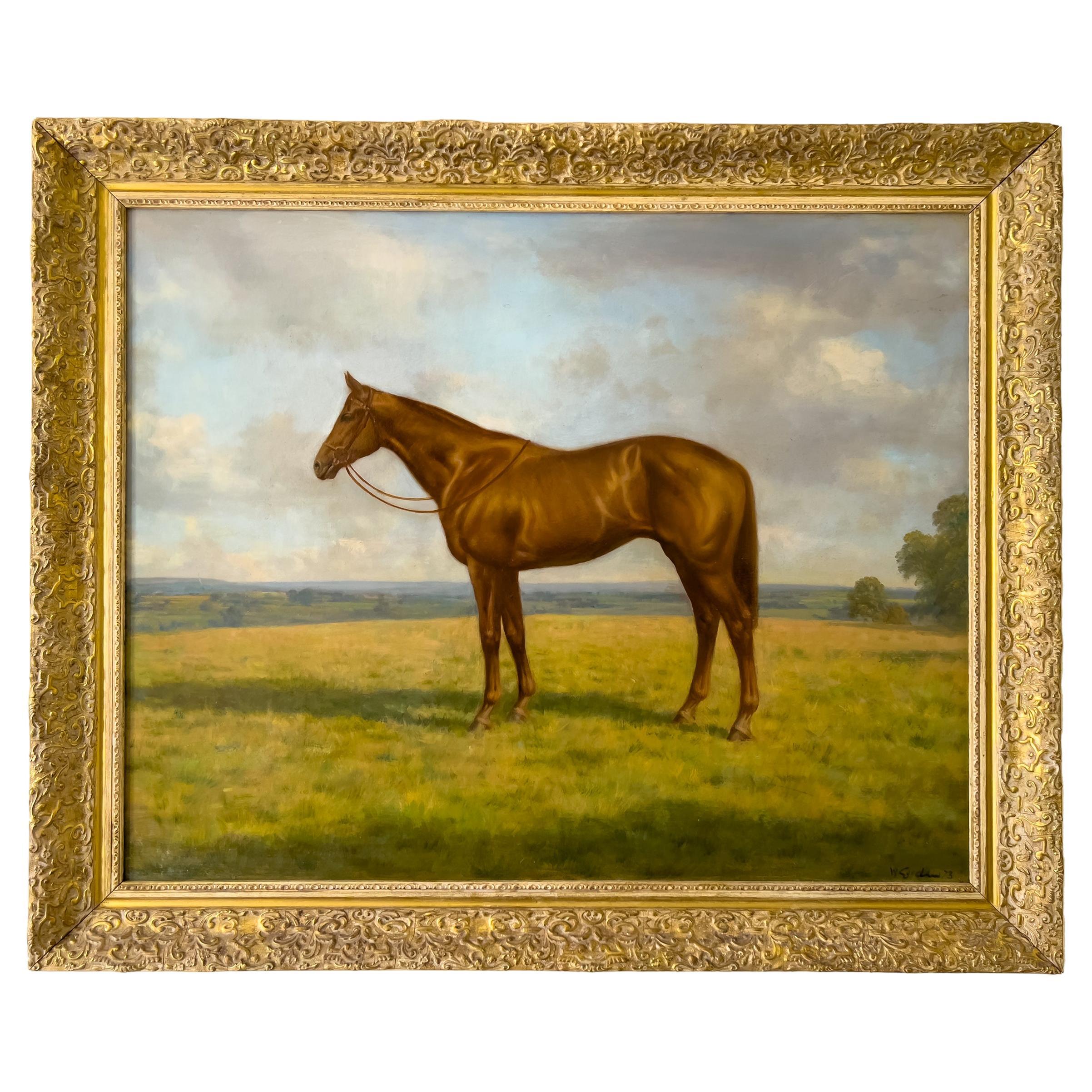 A Horse In Natural Surroundings, Oil On Board, England, 20th Century   For Sale