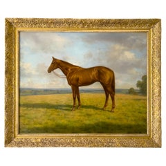 Vintage A Horse In Natural Surroundings, Oil On Board, England, 20th Century  