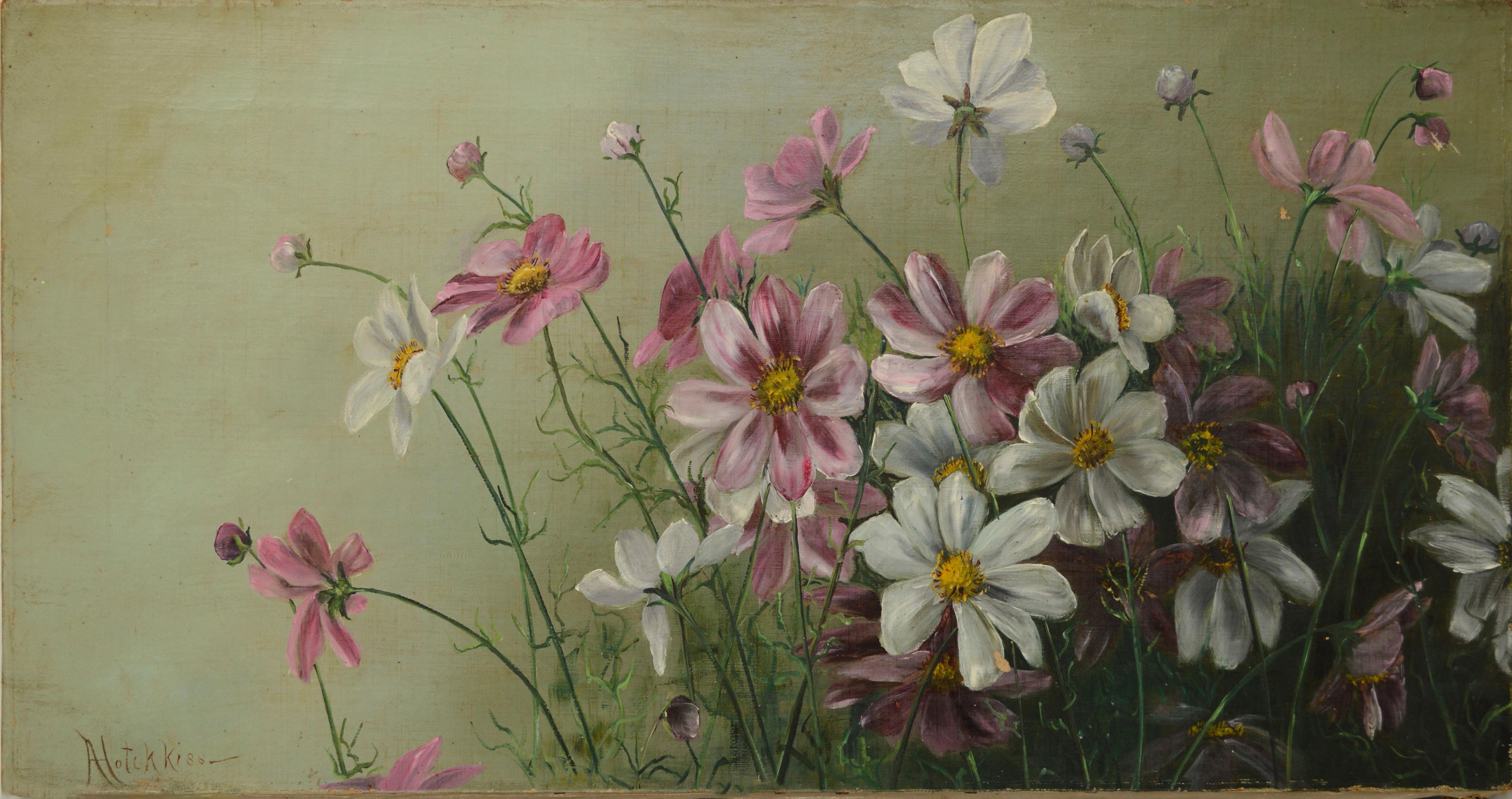 A Hotchkiss Still-Life Painting - Cosmos Flowers Victorian Era by A. Hotchkiss 1890s