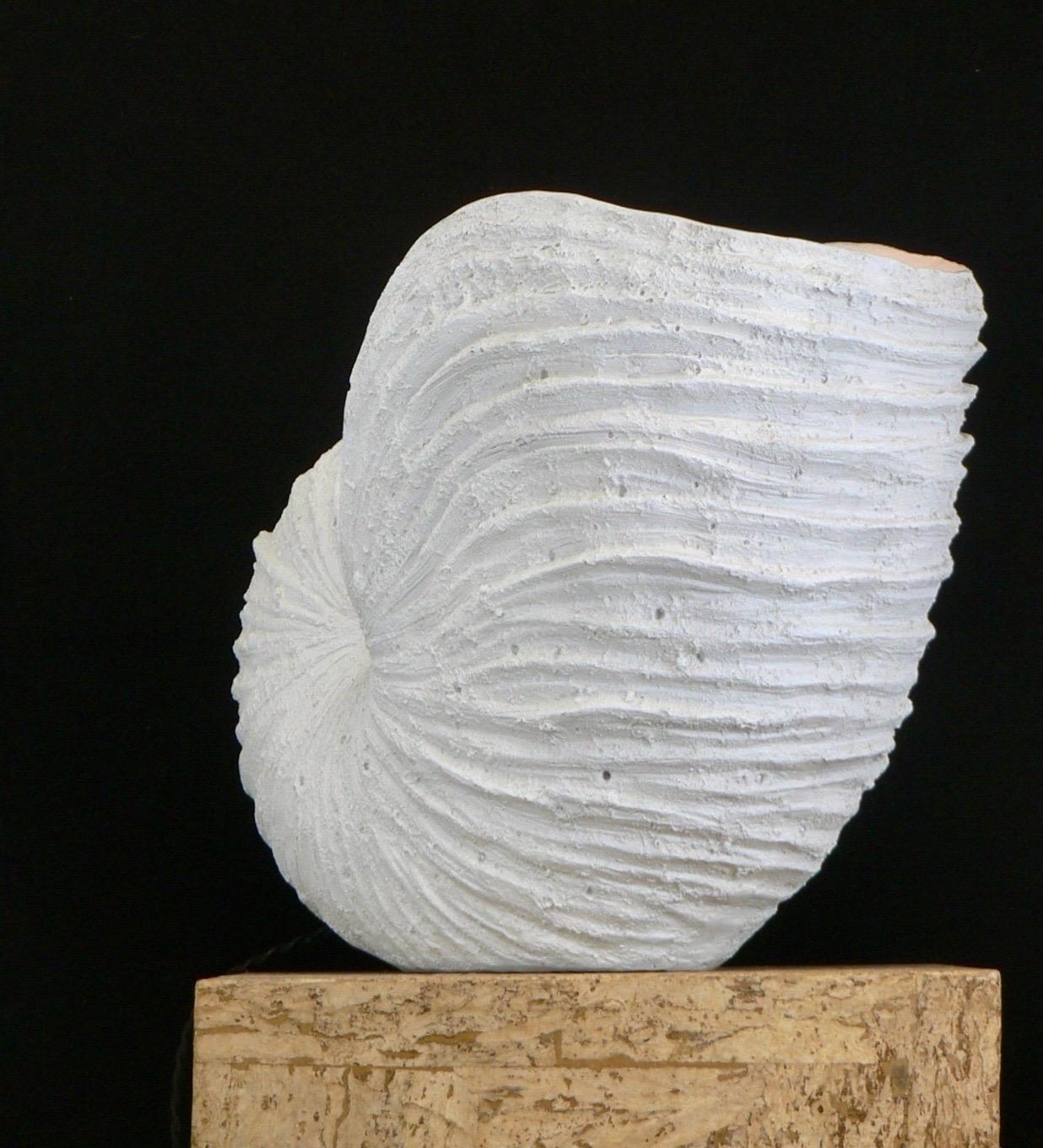 a huge fiberglass luminous seashell France 1970s In Good Condition For Sale In SOTTEVILLE-LÈS-ROUEN, FR