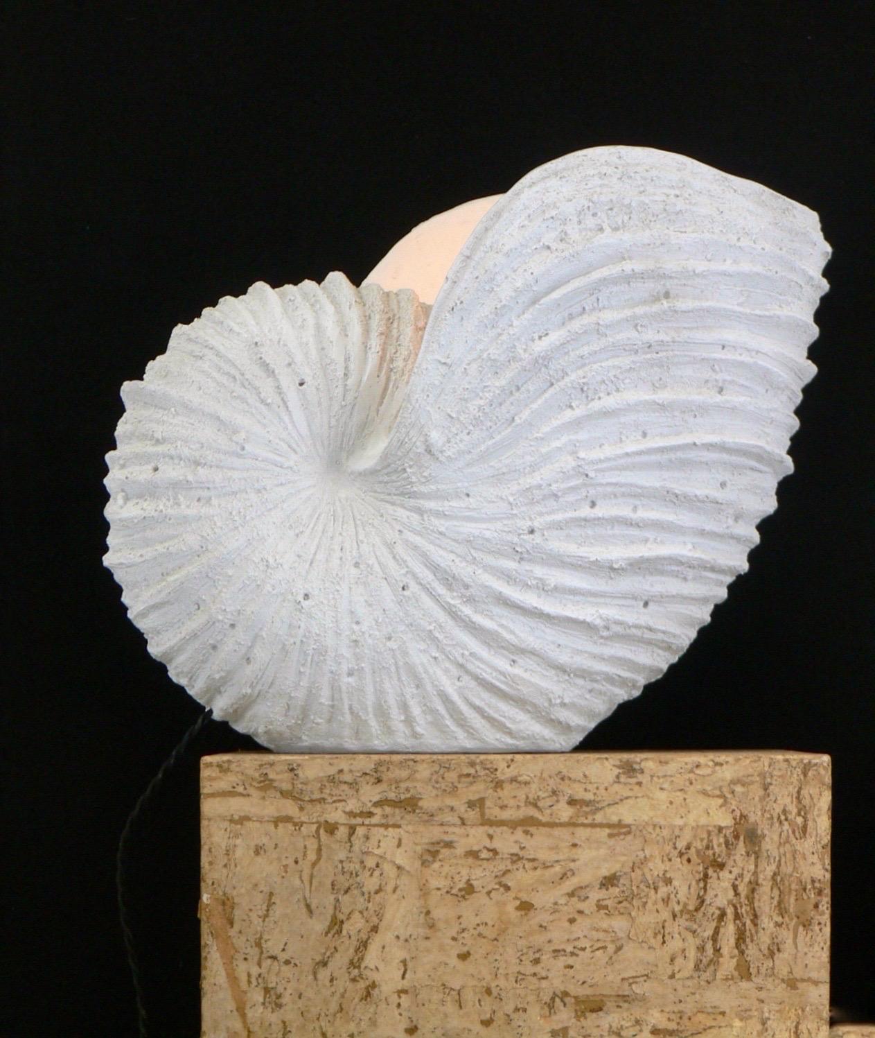 Late 20th Century a huge fiberglass luminous seashell France 1970s For Sale