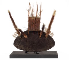 A Huli wigman's ceremonial headdress