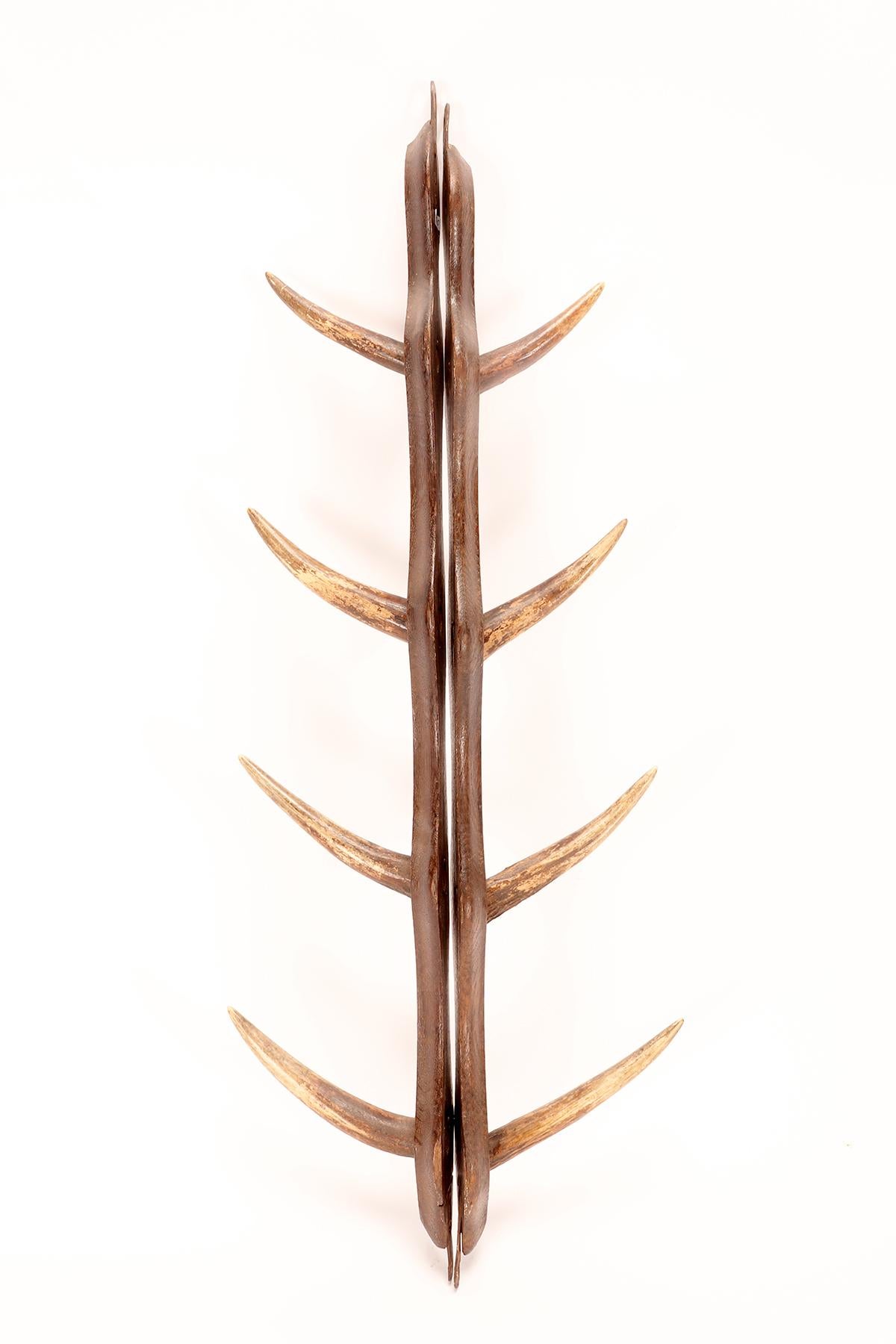 French A hunting rifles holder made from deer antlers and oak wood, France 1920. For Sale