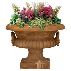A Italian 19th century Terra Cotta urn/planter