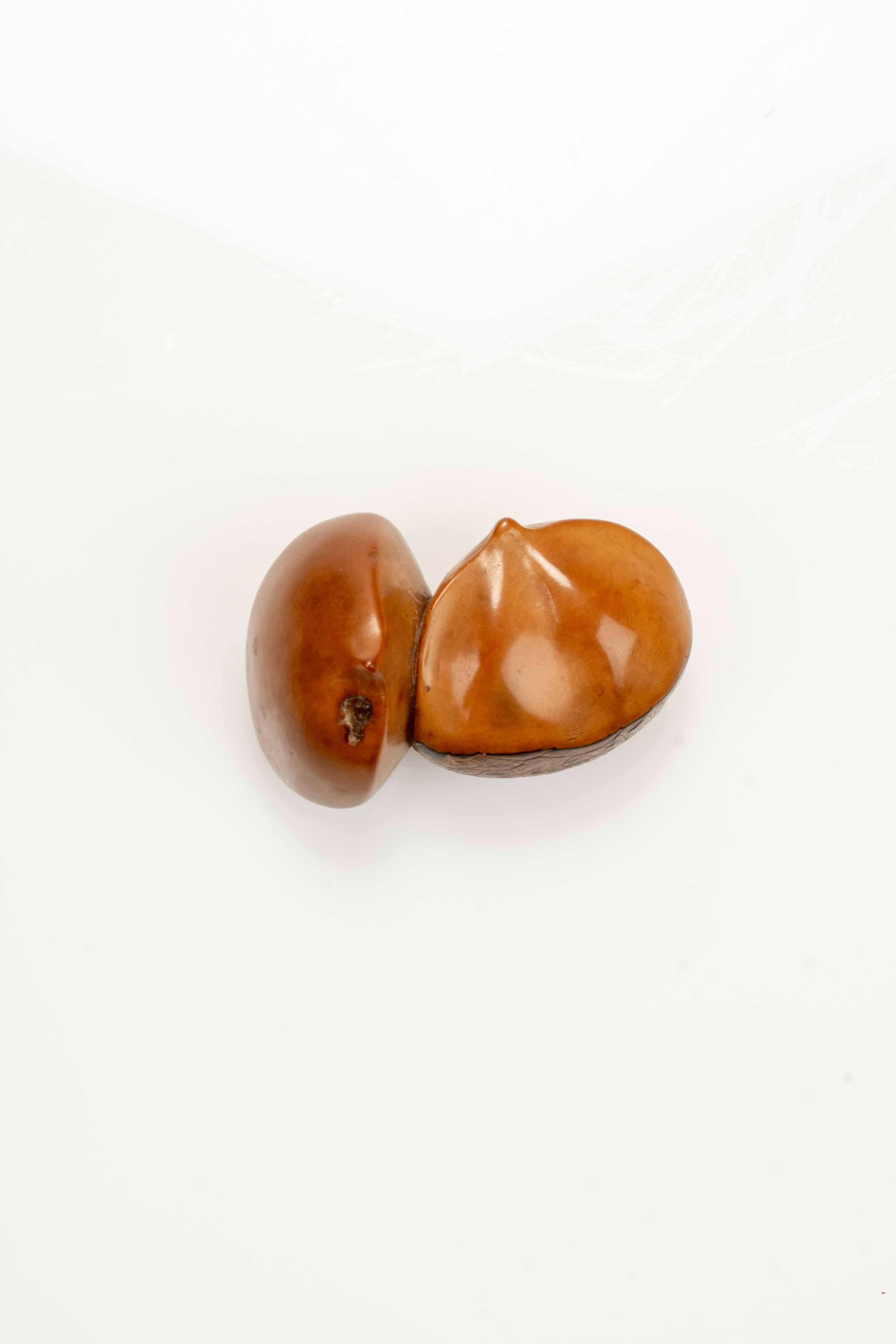 A Japanese Corozo Nut Netsuke Depicting Two Chestnuts, Signed Ikko Excellent état - En vente à Milano, IT