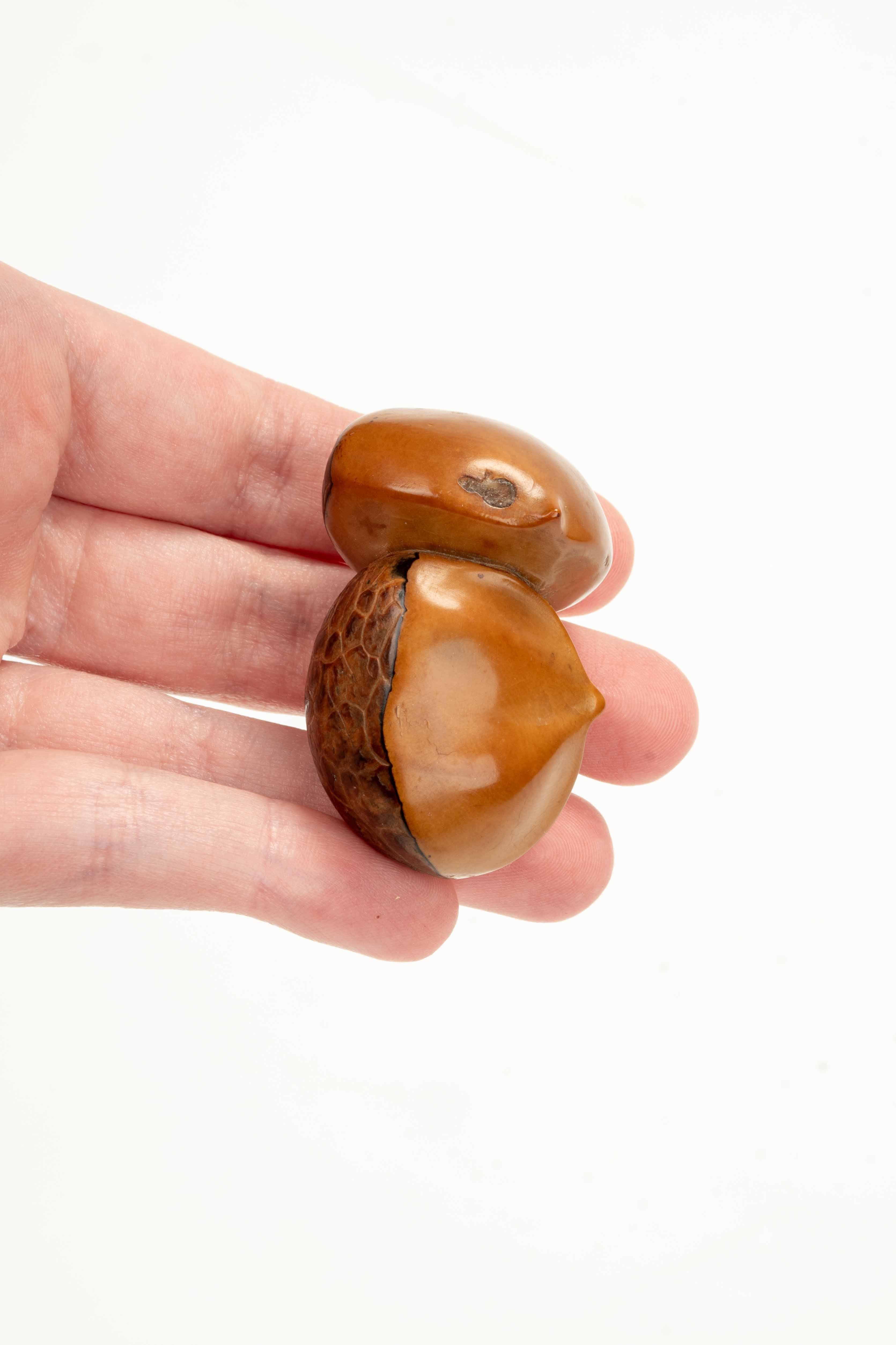 A Japanese Corozo Nut Netsuke Depicting Two Chestnuts, Signed Ikko en vente 1