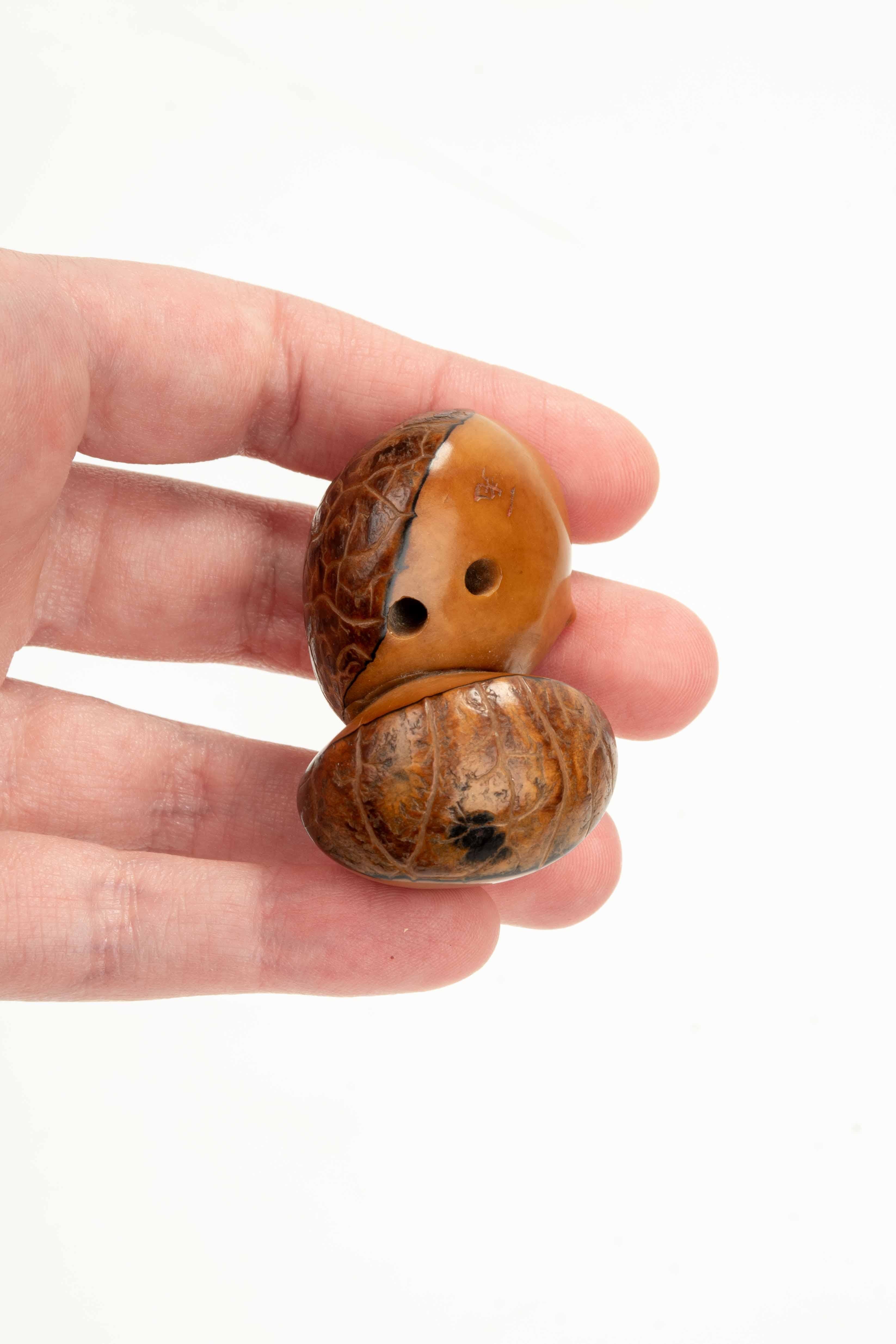 A Japanese Corozo Nut Netsuke Depicting Two Chestnuts, Signed Ikko en vente 2