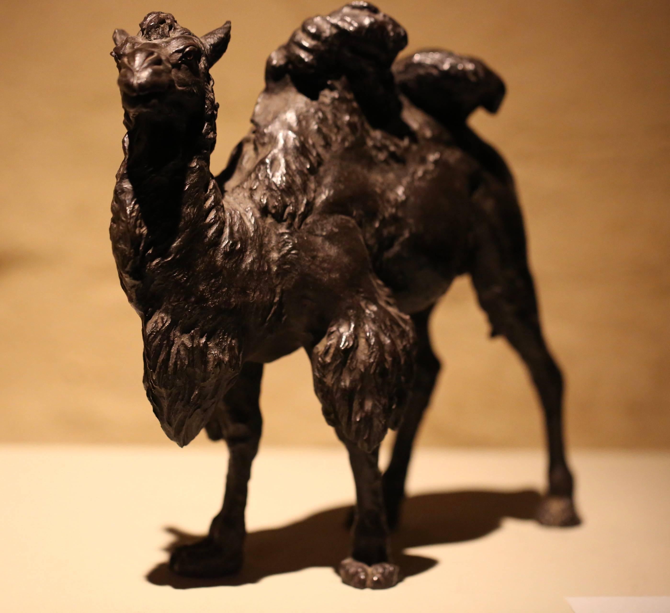 Cast Japanese Meiji Period Tokyo School Bronze Camel For Sale