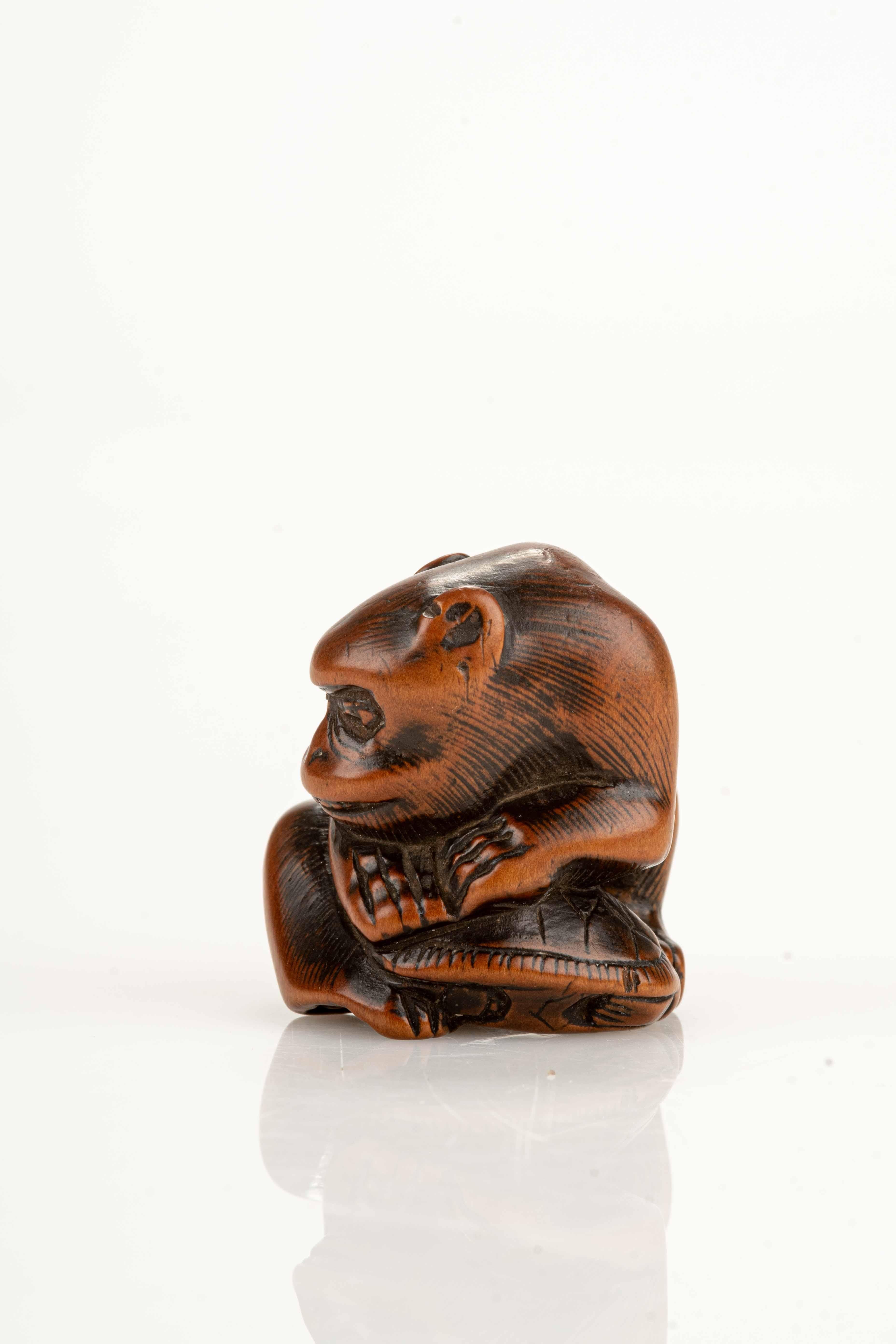 Netsuke in legno di bosso raffigurante una scimmia seduta che ferma una tartaruga con la zampa destra.

Periodo: Edo XIX secolo
Dimensioni: 4 x 3,2 x 3,8 cm.
Condizioni: Ottime condizioni.