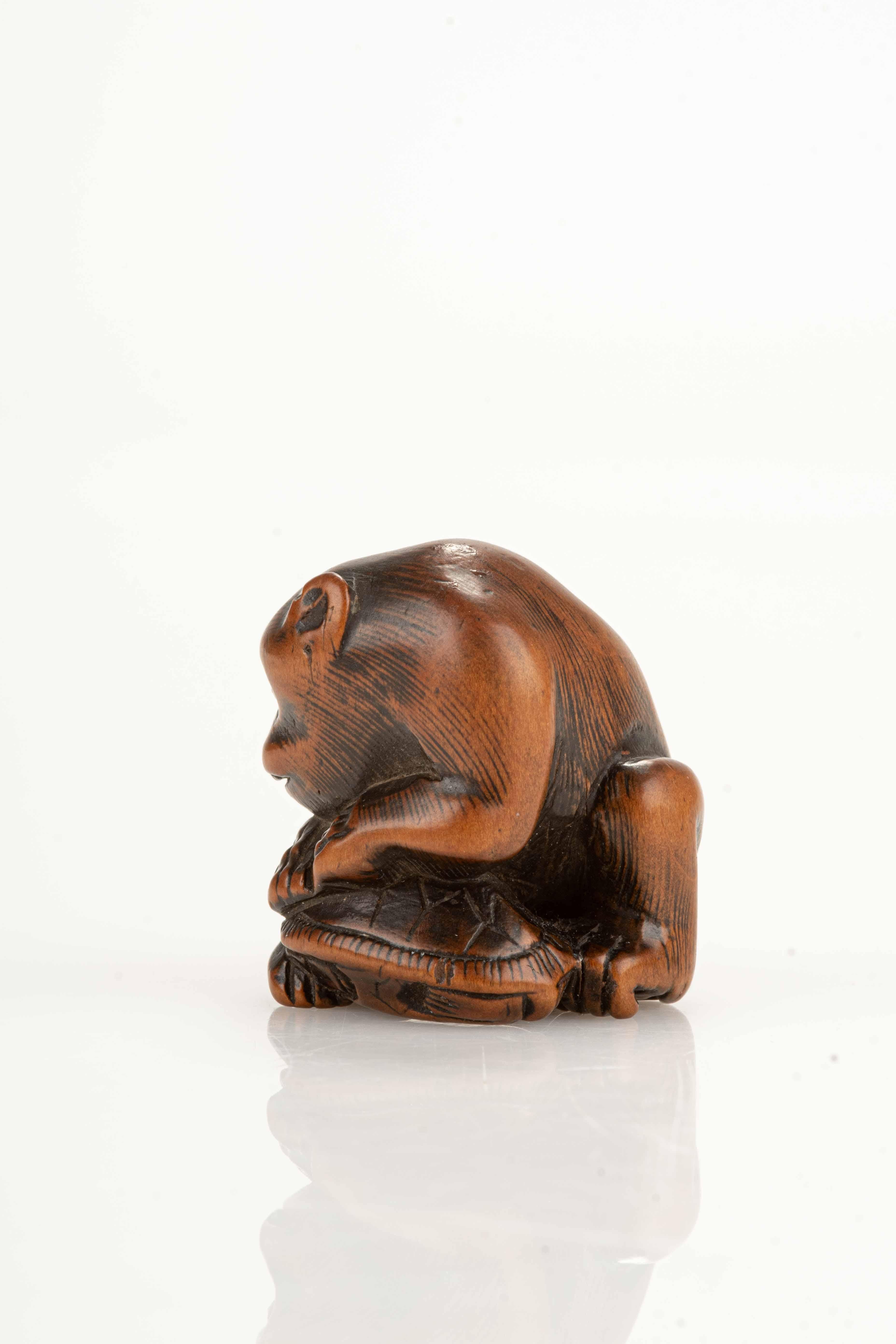 Giapponismo Un netsuke giapponese raffigurante una scimmia con una tartaruga in vendita