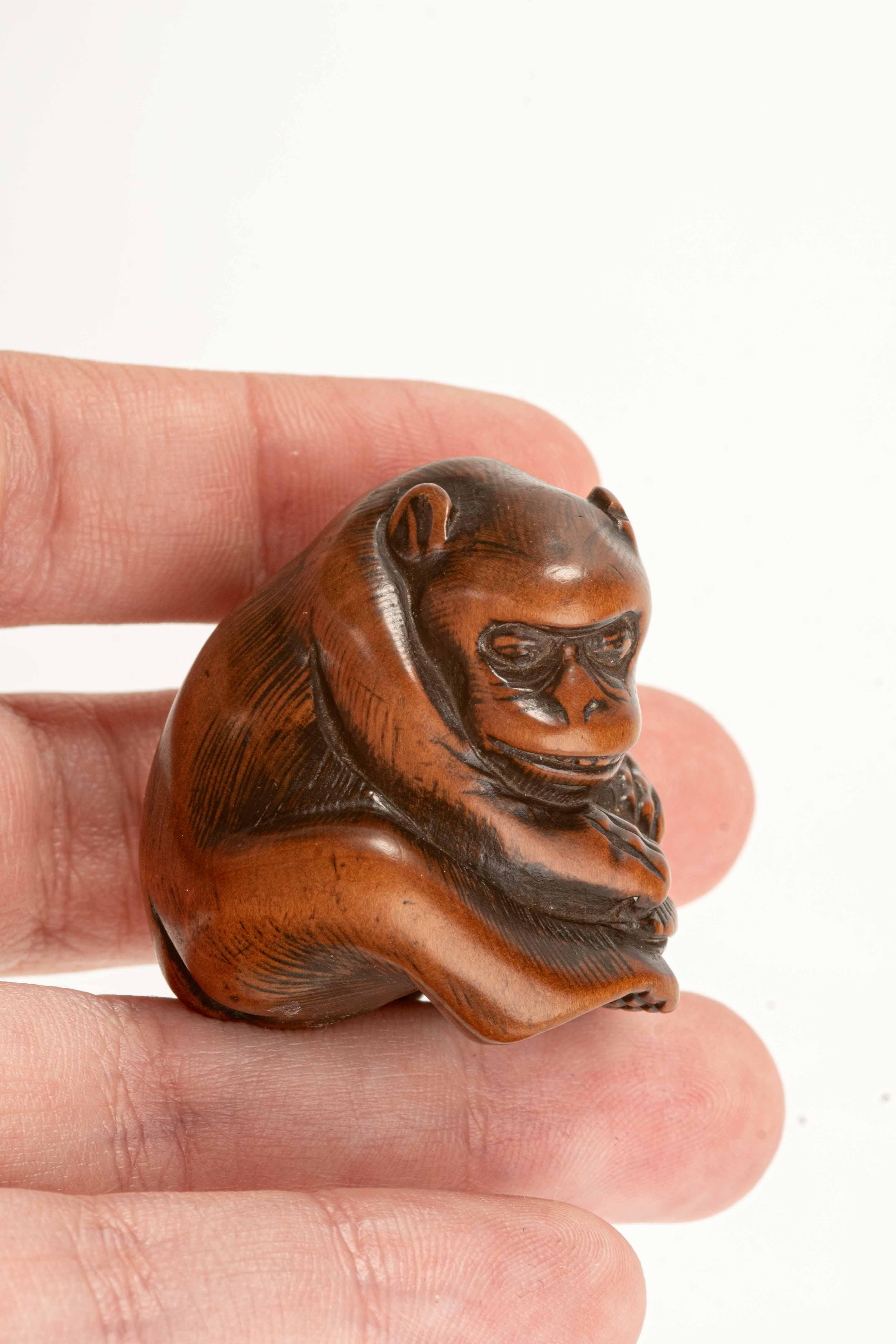 XIX secolo Un netsuke giapponese raffigurante una scimmia con una tartaruga in vendita