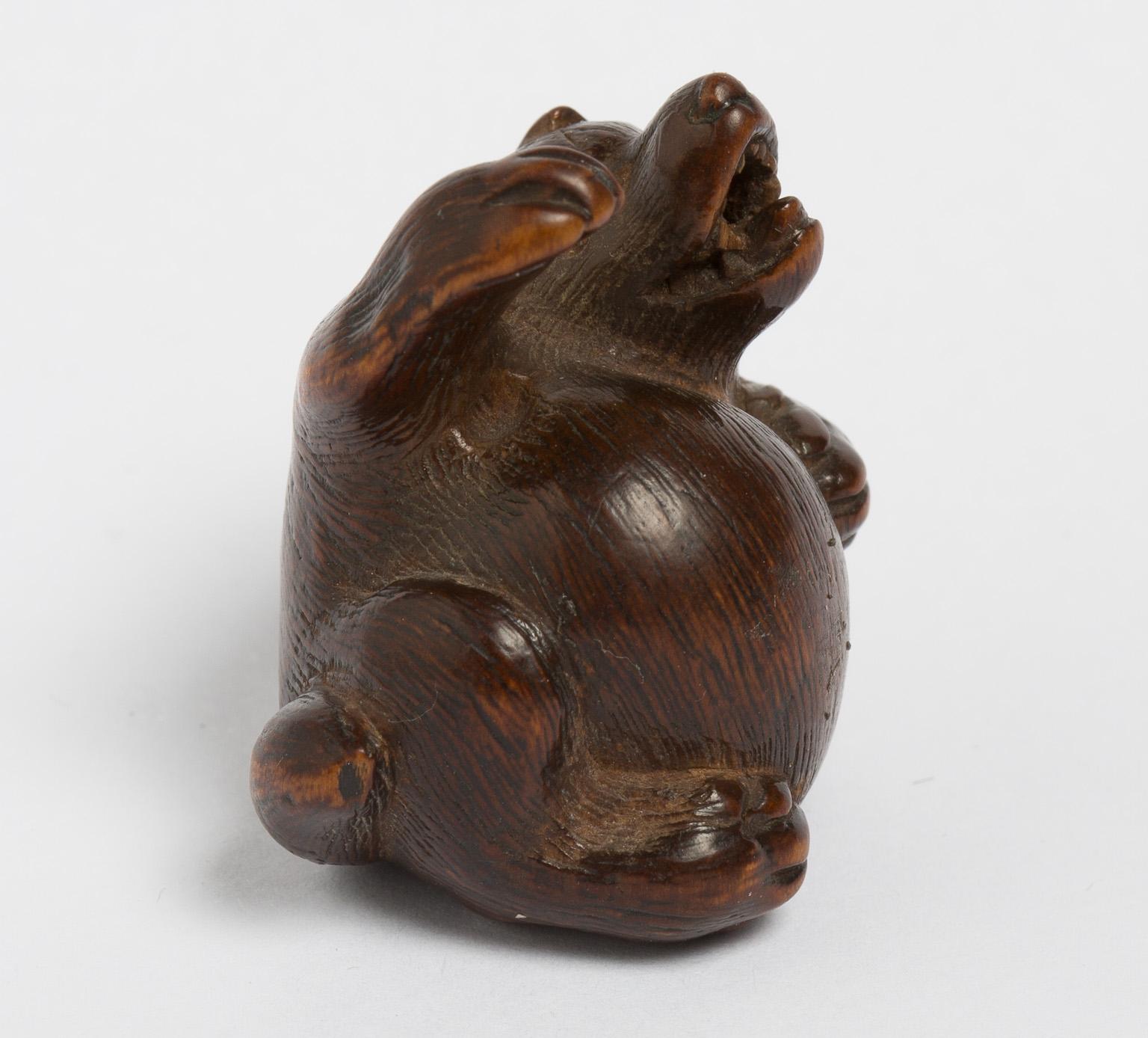 tanuki netsuke