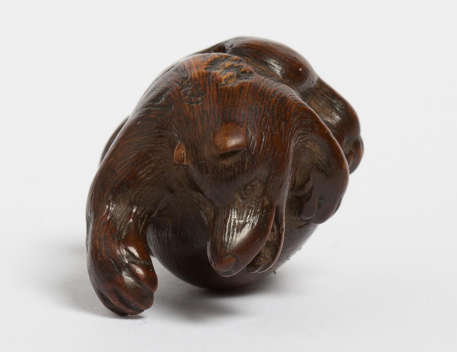 Carved Japanese Wooden Netsuke of a Tanuki 'Raccoon Dog' by Kokei, Early 19th Century