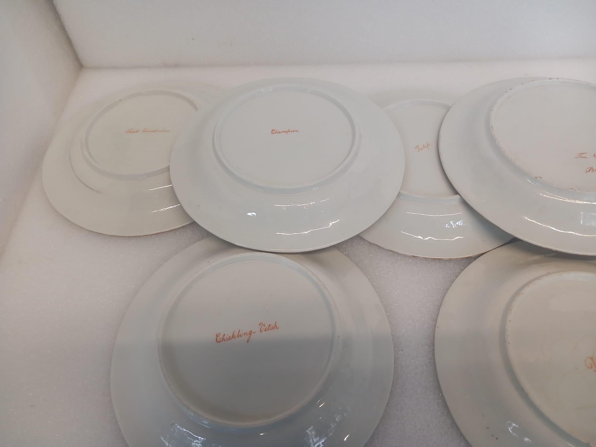 A John and William Ridgway antique part dessert service For Sale 9