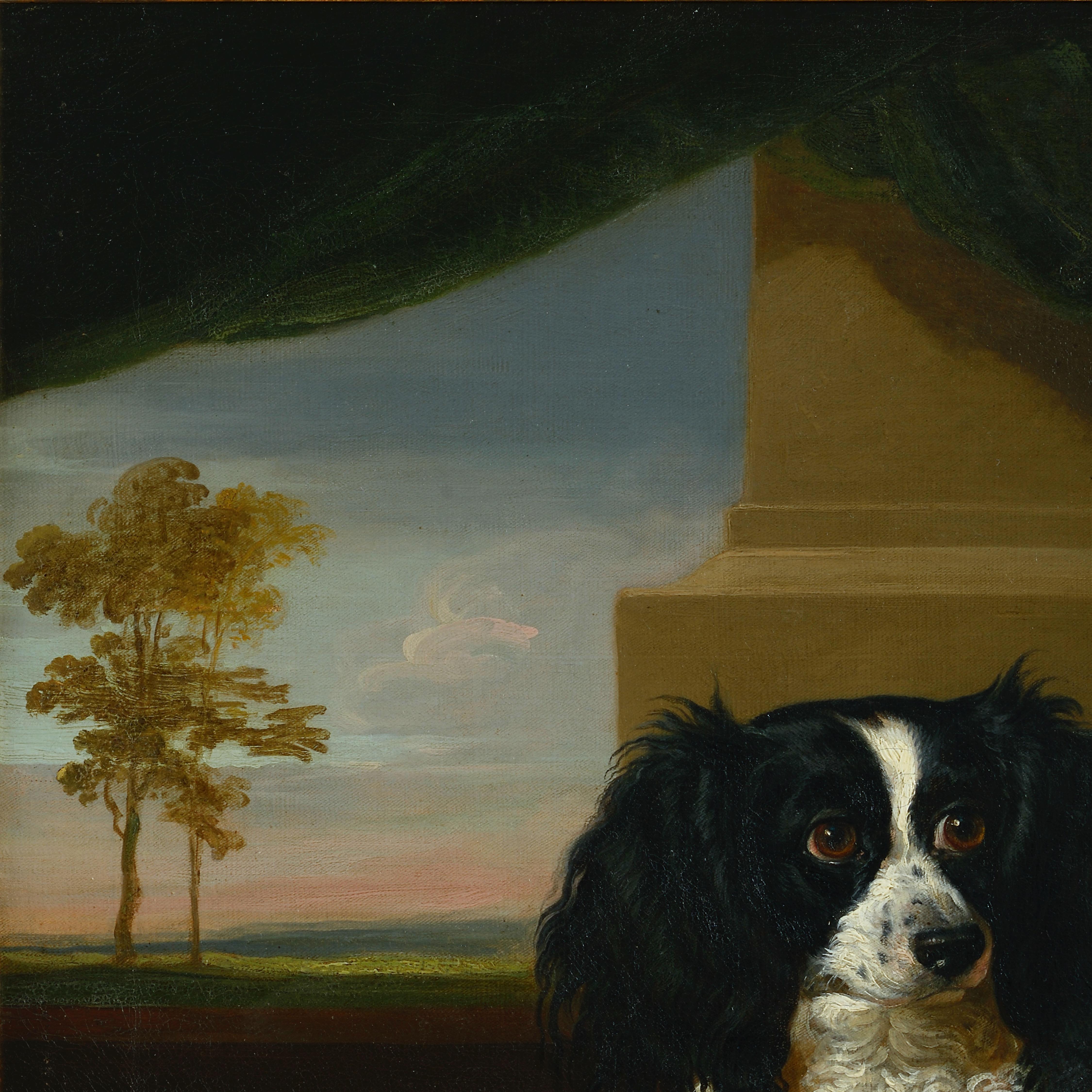 19th Century A King Charles Spaniel on a Red Cushion For Sale
