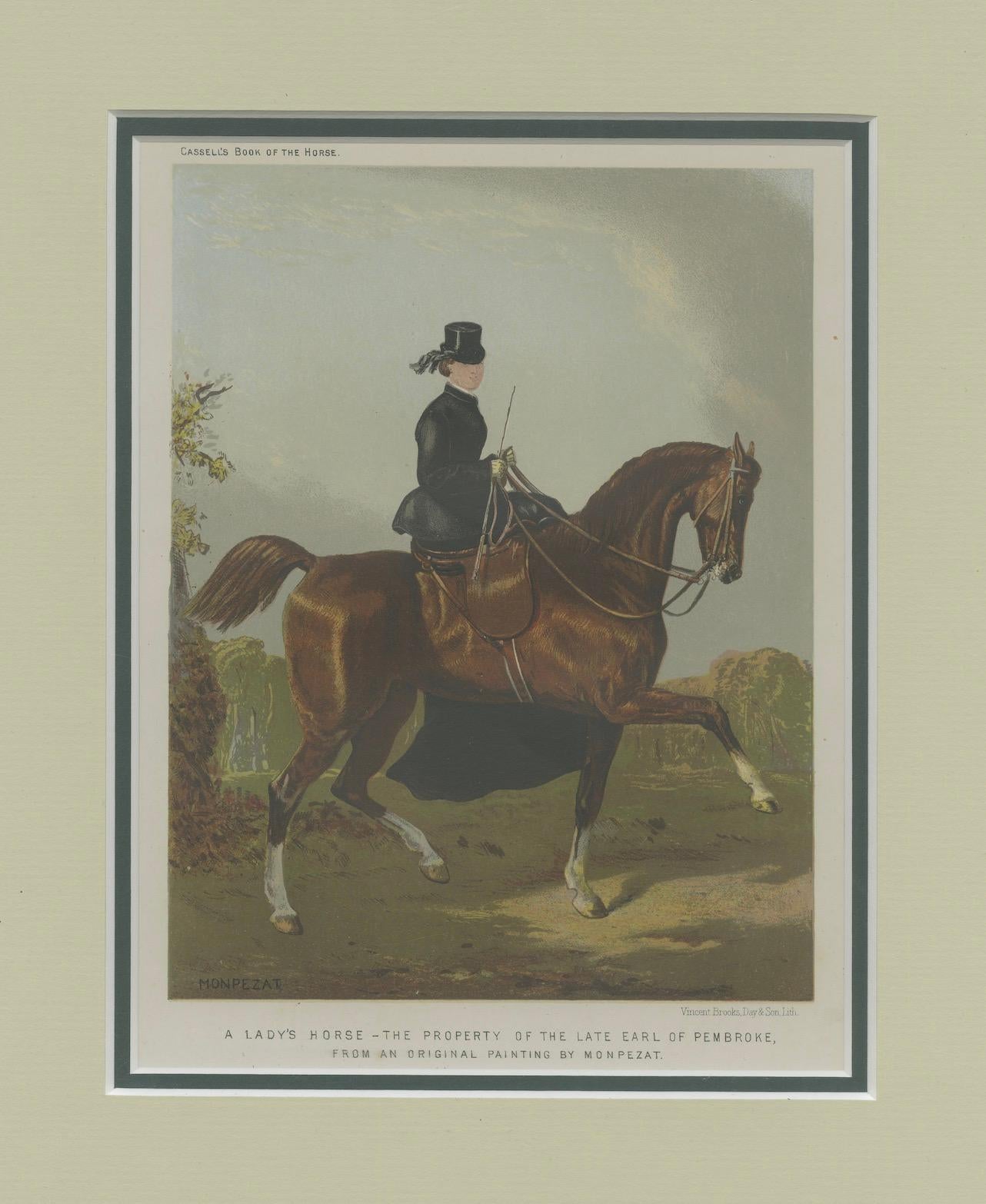 A Lady’s Horse – From Cassell’s Book of the Horse, 1873, after Monpezat

An elegant 1873 chromolithograph from Cassell’s Book of the Horse, depicting “A Lady’s Horse – The Property of the Late Earl of Pembroke,” after an original painting by