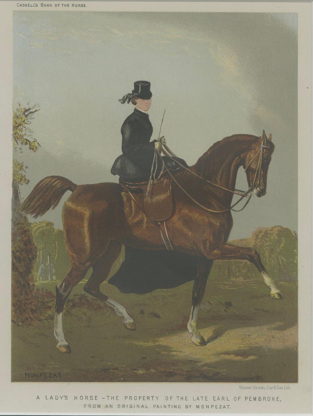 A Lady’s Horse – From Cassell’s Book of the Horse, 1873, after Monpezat In Good Condition For Sale In Langweer, NL