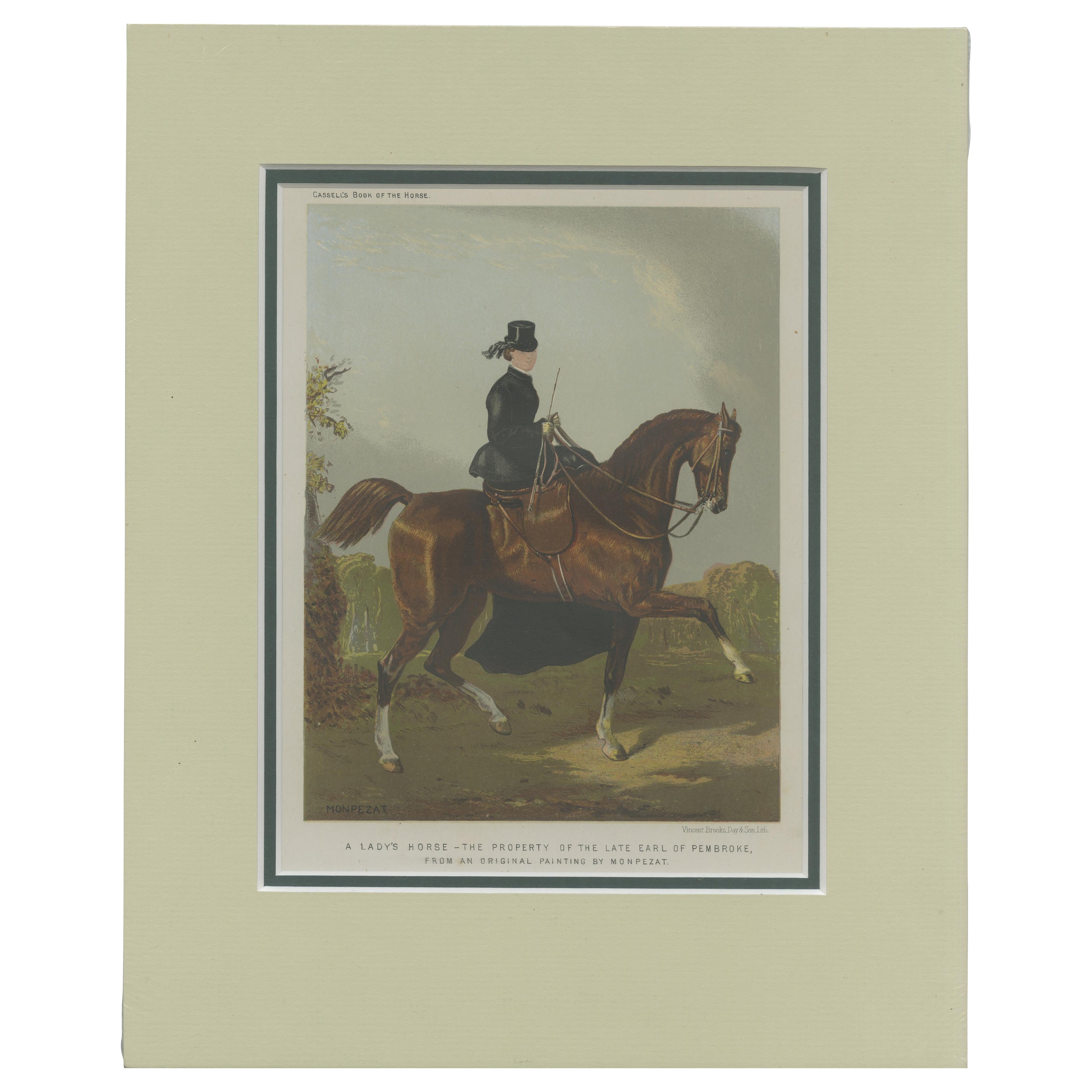 A Lady’s Horse – From Cassell’s Book of the Horse, 1873, after Monpezat For Sale