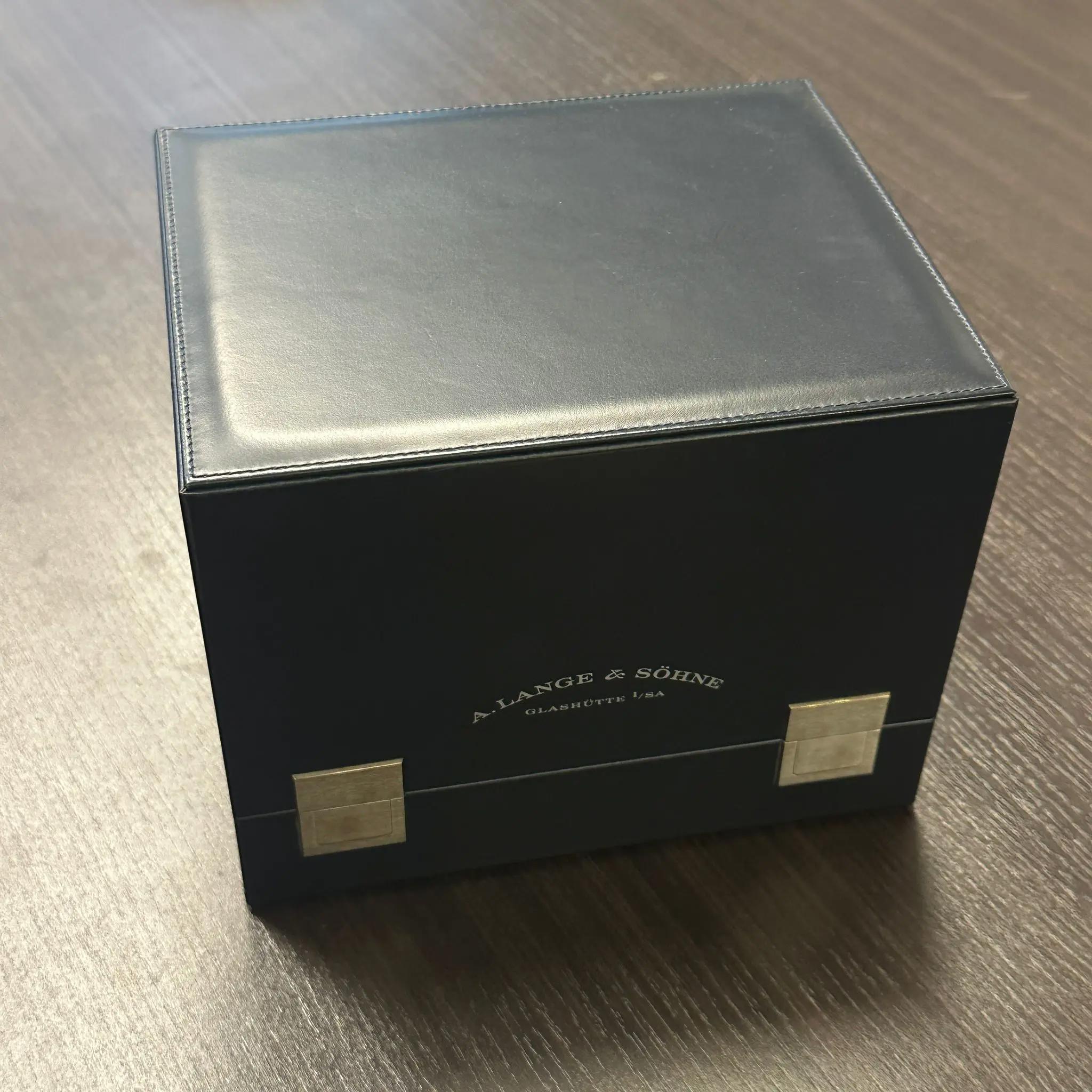A. Lange & Sohne Langematik 38.5mm Perpetual  Platinum Gray Dial Watch 310.025E For Sale 2