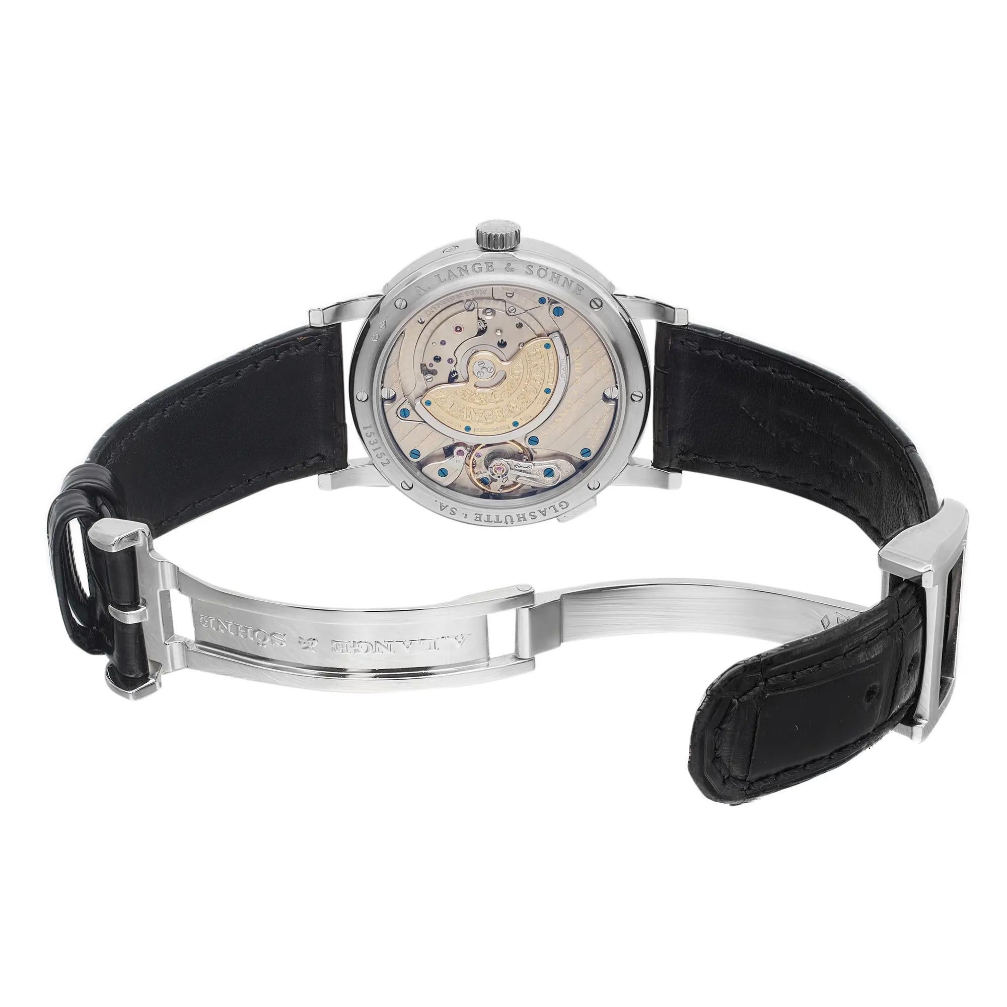 A. Lange & Sohne Langematik 38.5mm Perpetual  Platinum Gray Dial Watch 310.025E For Sale 3