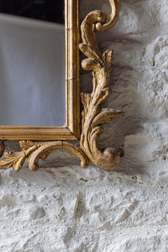 A Large 19th Century gilt mirror