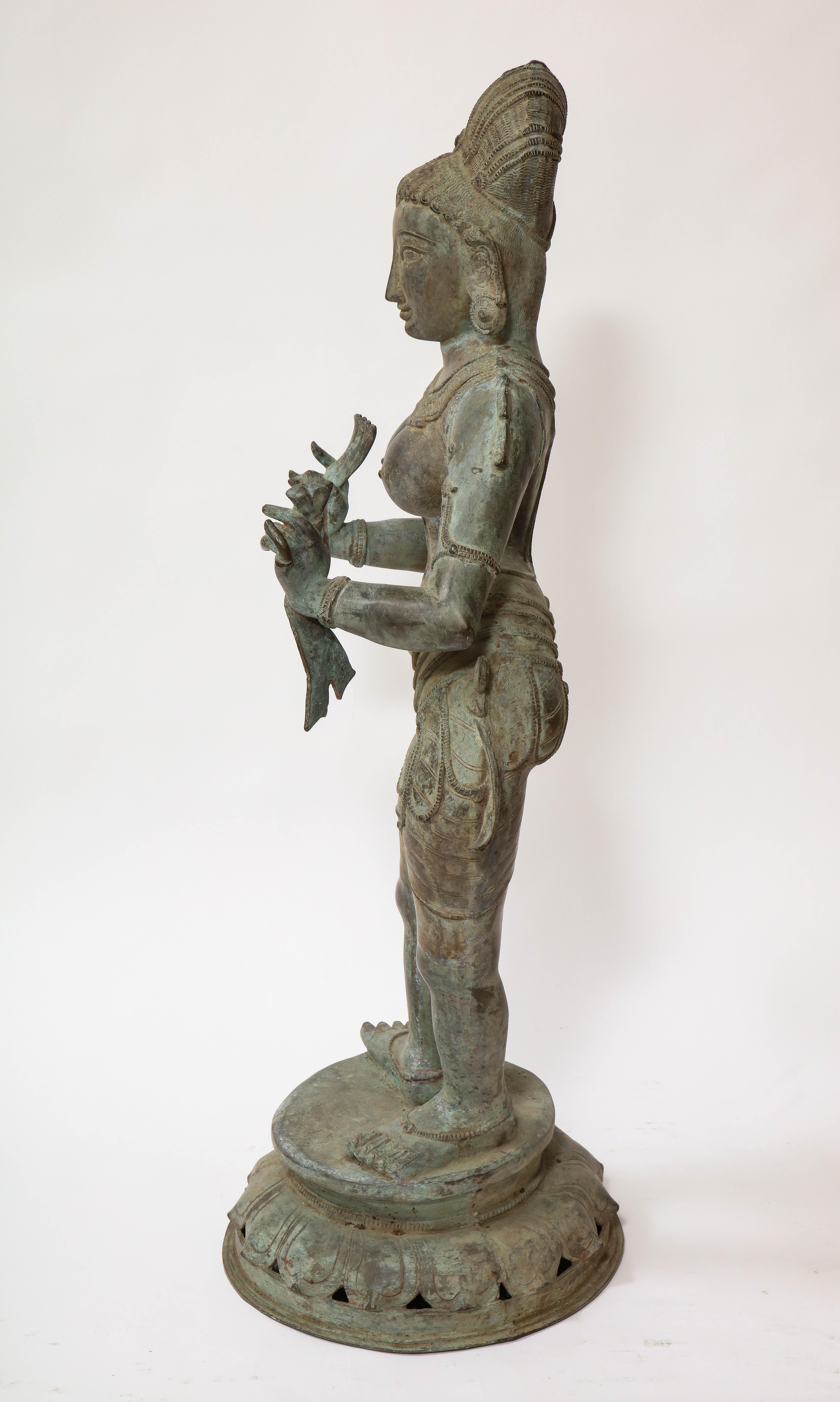 A Marvelous and Quite Large 19th Century South Indian Bronze Dancing Female Figure, Tamil Nadu.  This Indian bronze sculpture depicts a dancing female figure. The figure is adorned with jewelry, including earrings, necklaces, and armlets, with